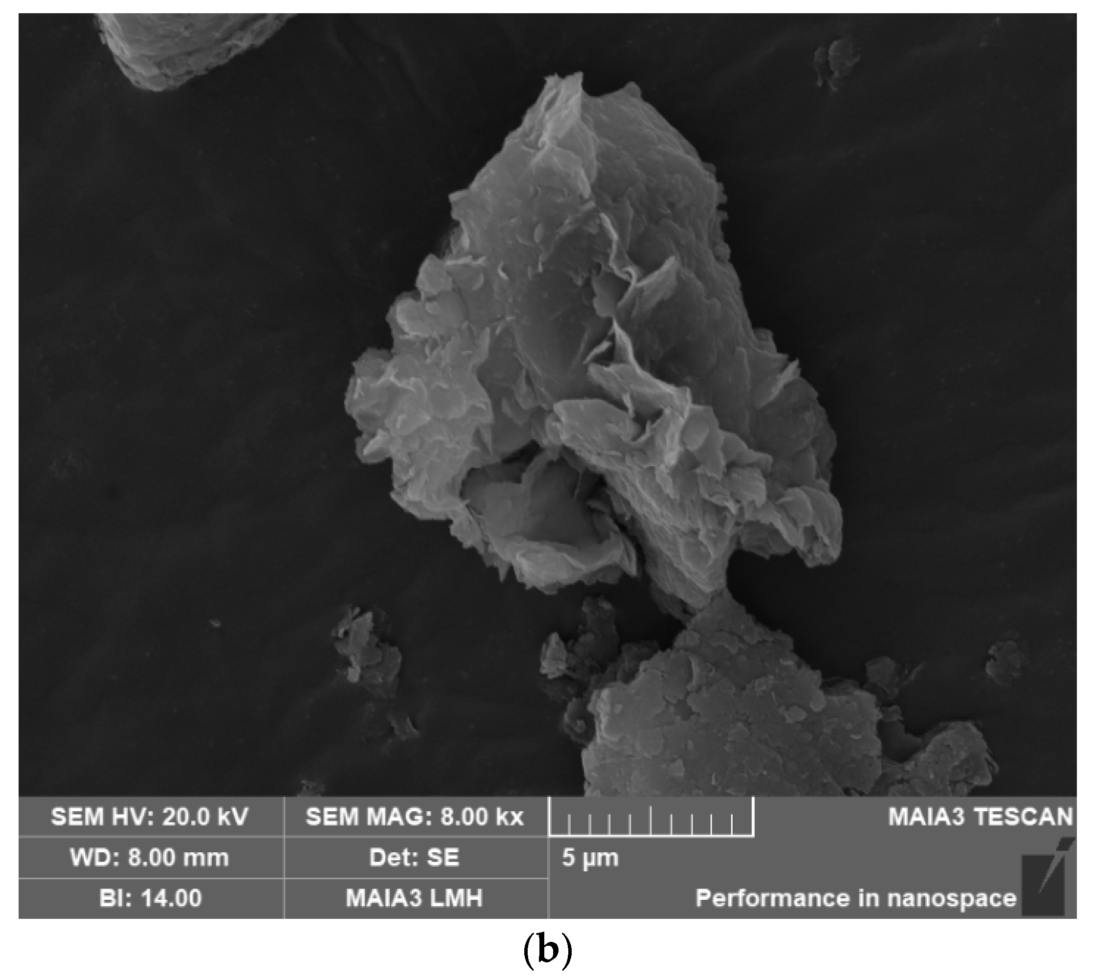 Catalysts 12 01383 g007b