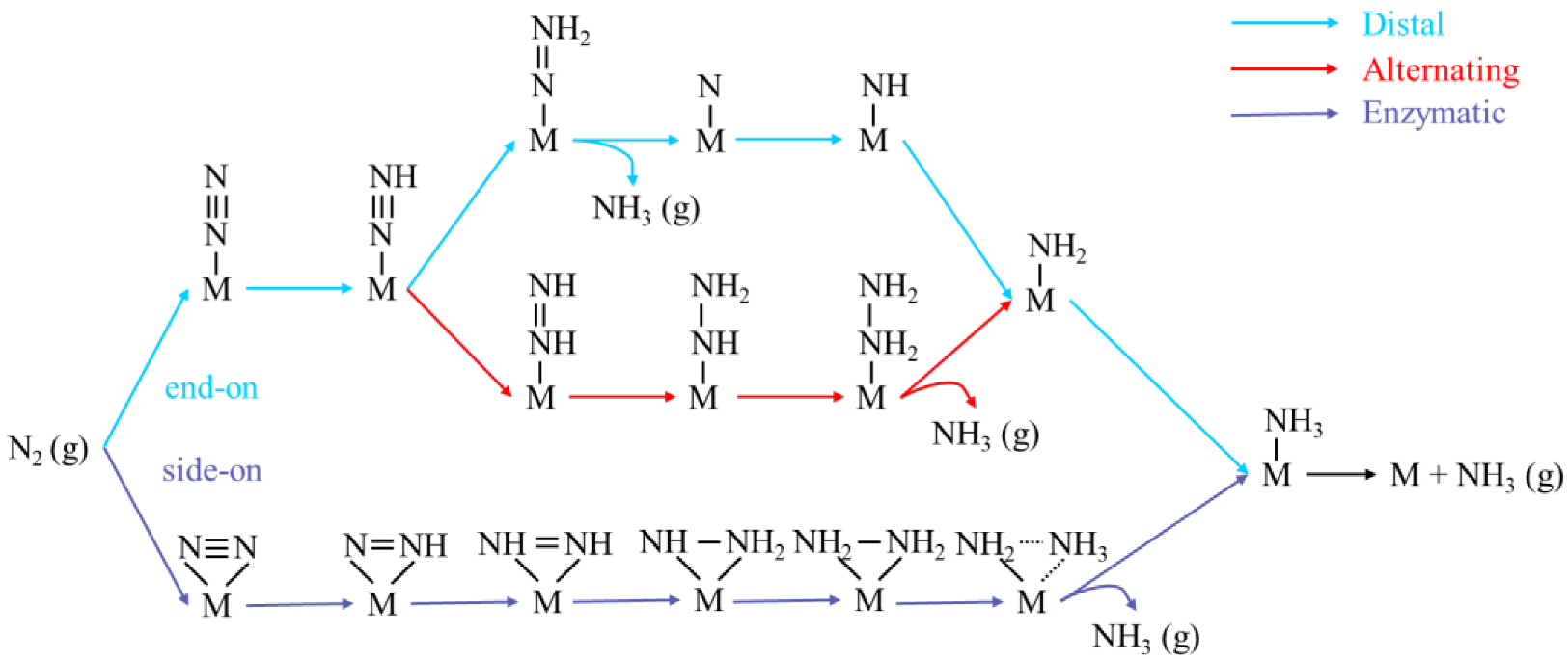 Catalysts 12 01387 g002
