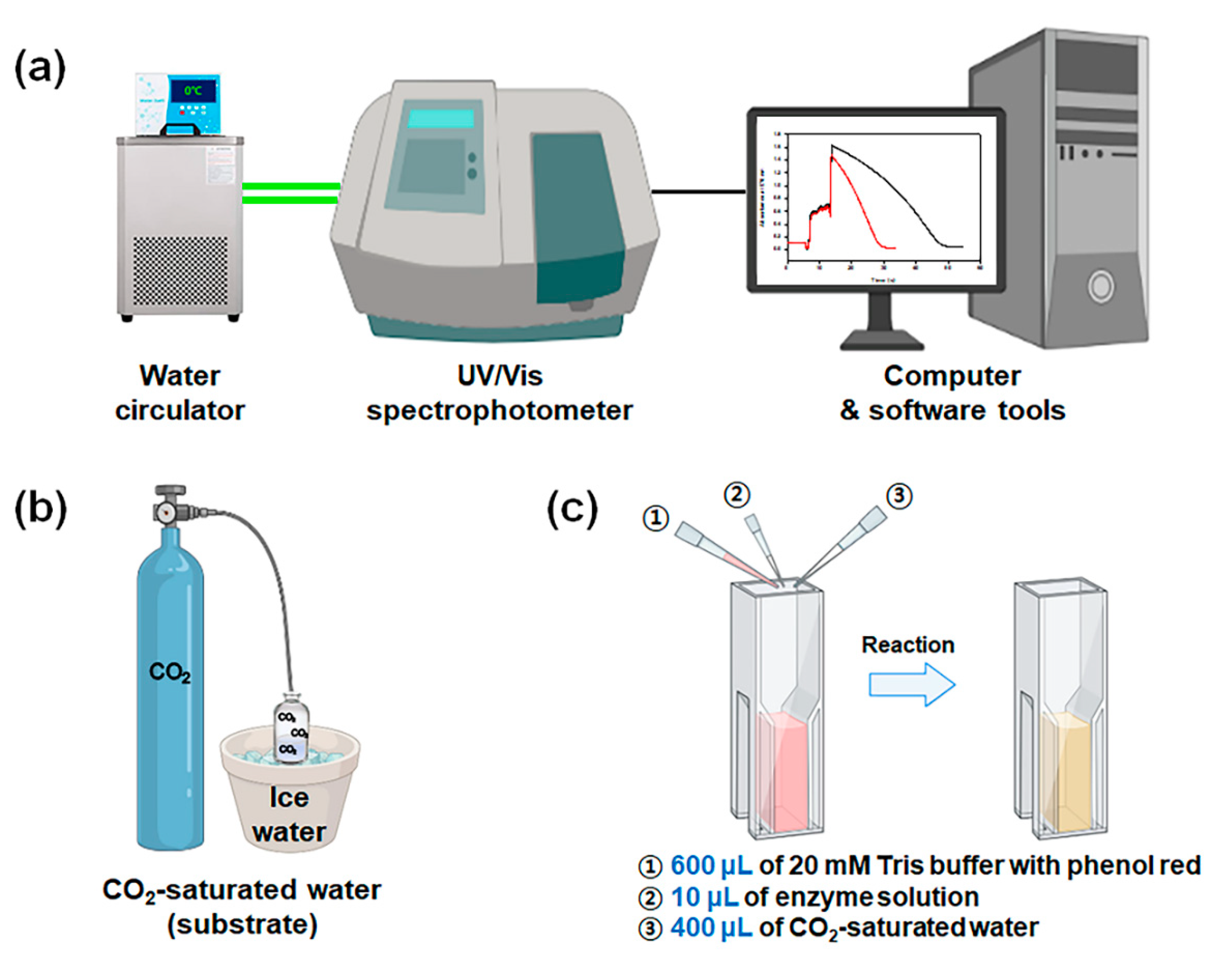 Catalysts Free FullText A Colorimetric CO2 Hydration Assay for