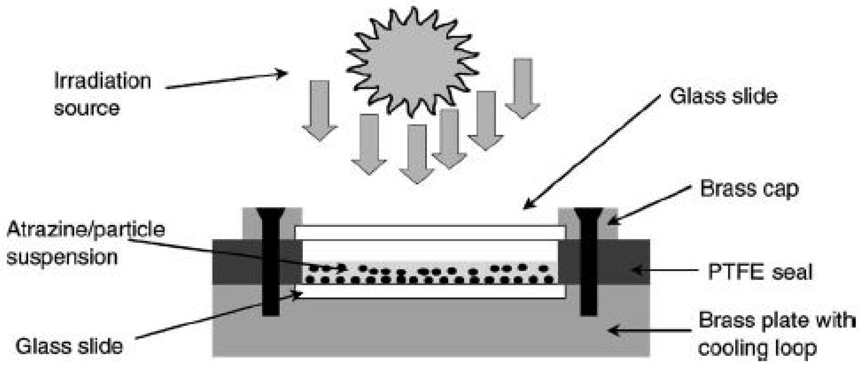 Catalysts 12 01398 g004 Catalysts 12 01398 g004