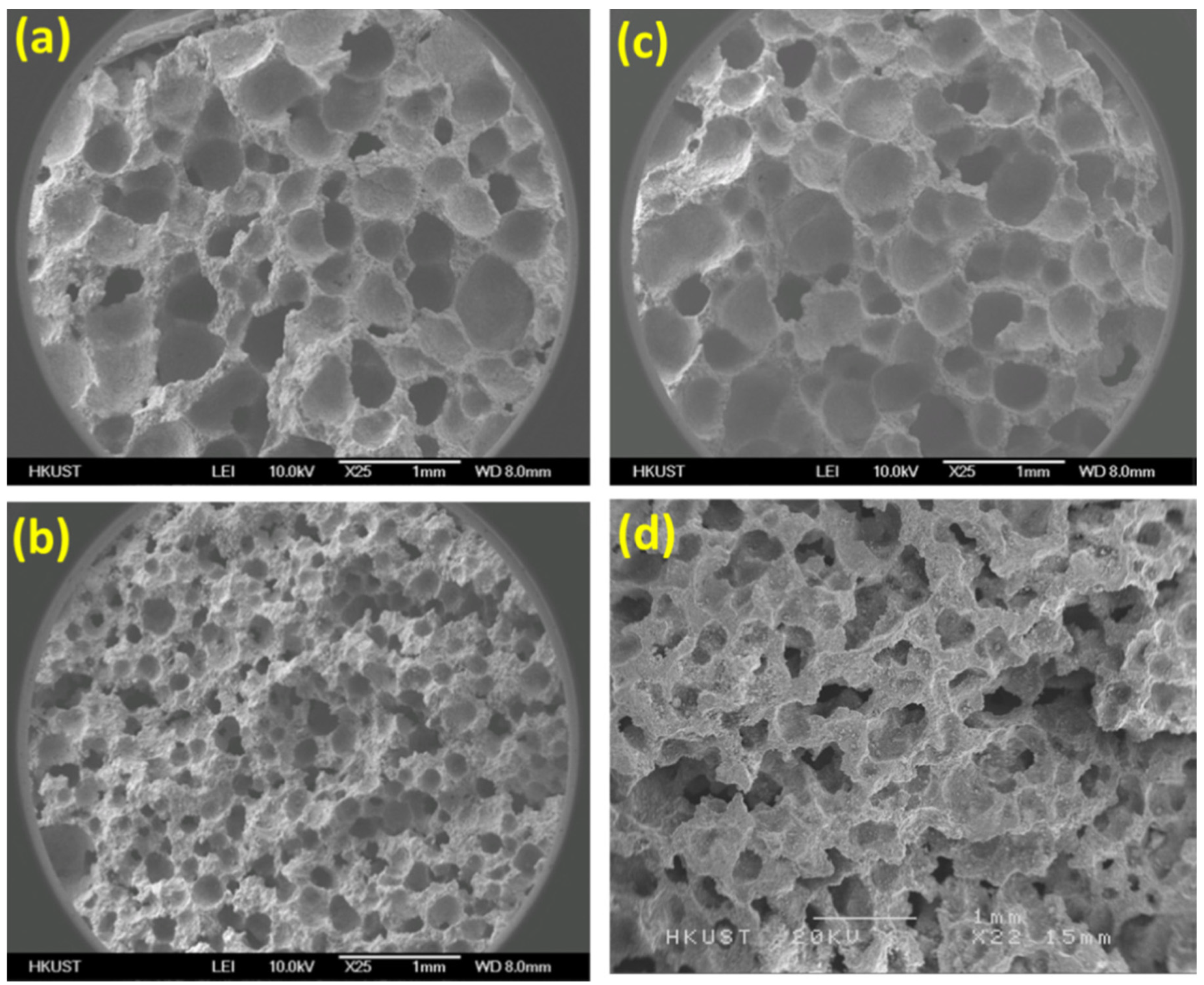 Catalysts 12 01398 g005a Catalysts 12 01398 g005a