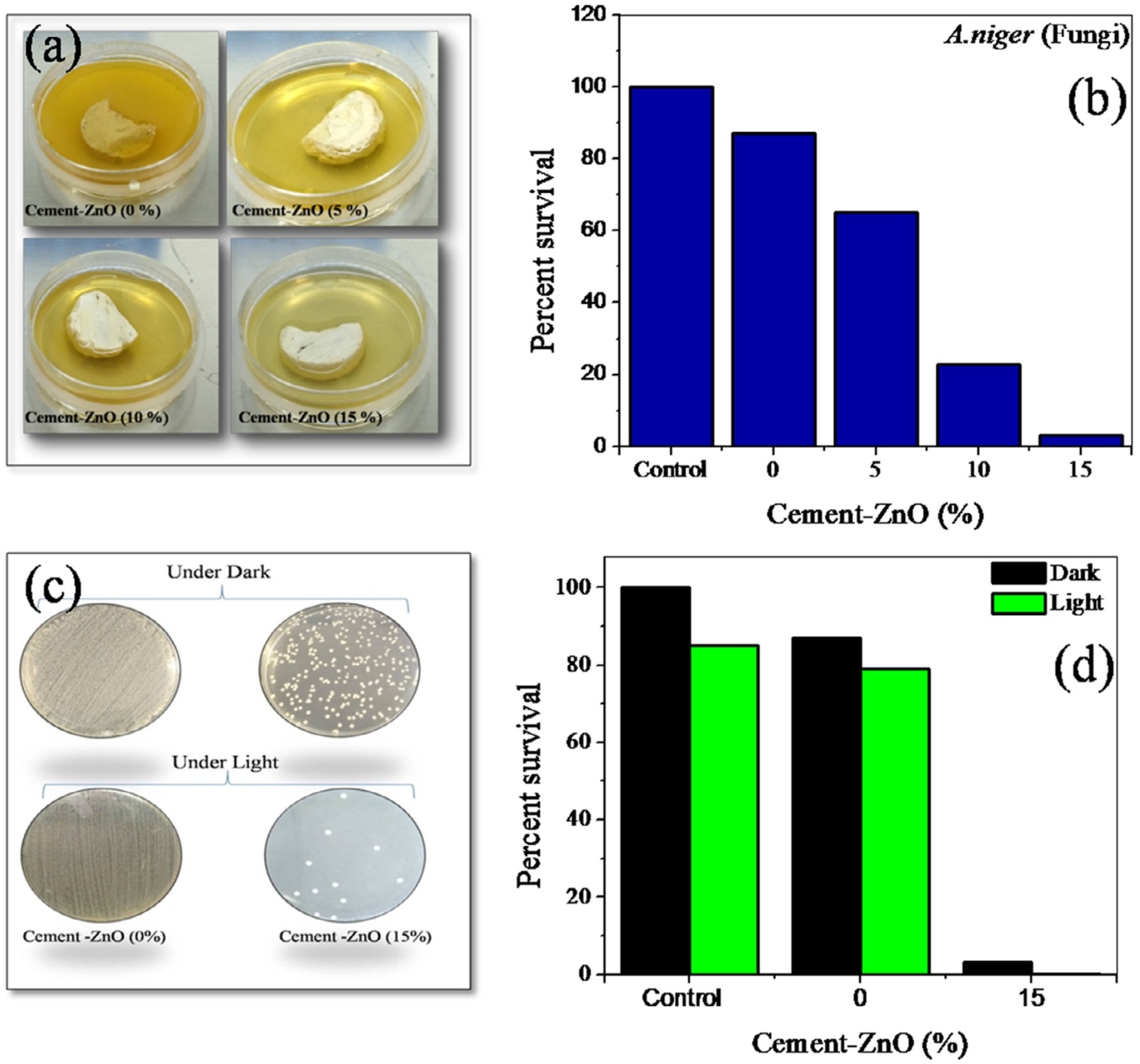 Catalysts 12 01398 g007 Catalysts 12 01398 g007