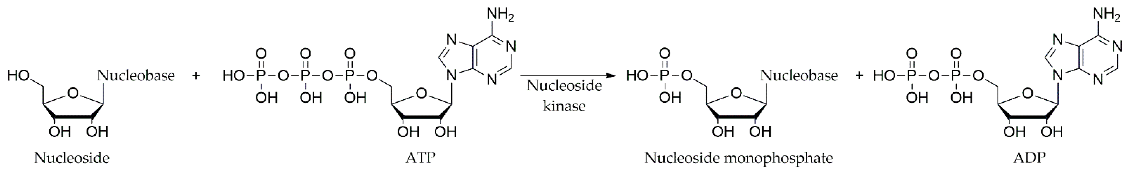 Catalysts 12 01401 g001 Catalysts 12 01401 g001