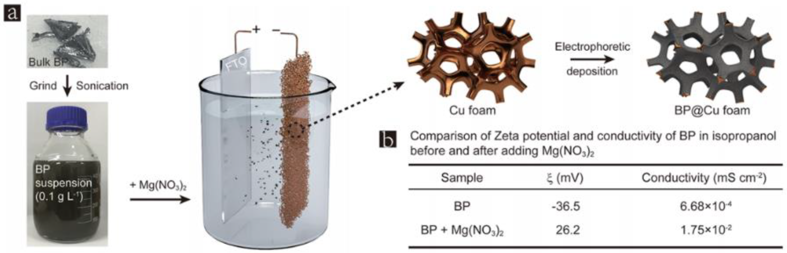 Catalysts 12 01403 g001