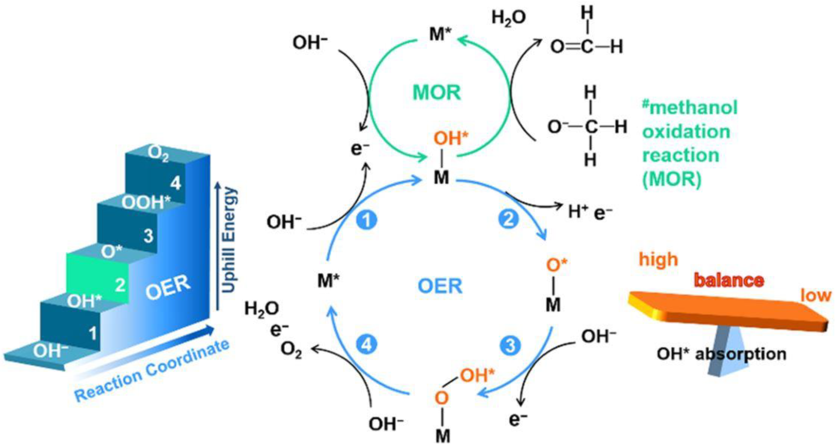 Catalysts 12 01403 g005