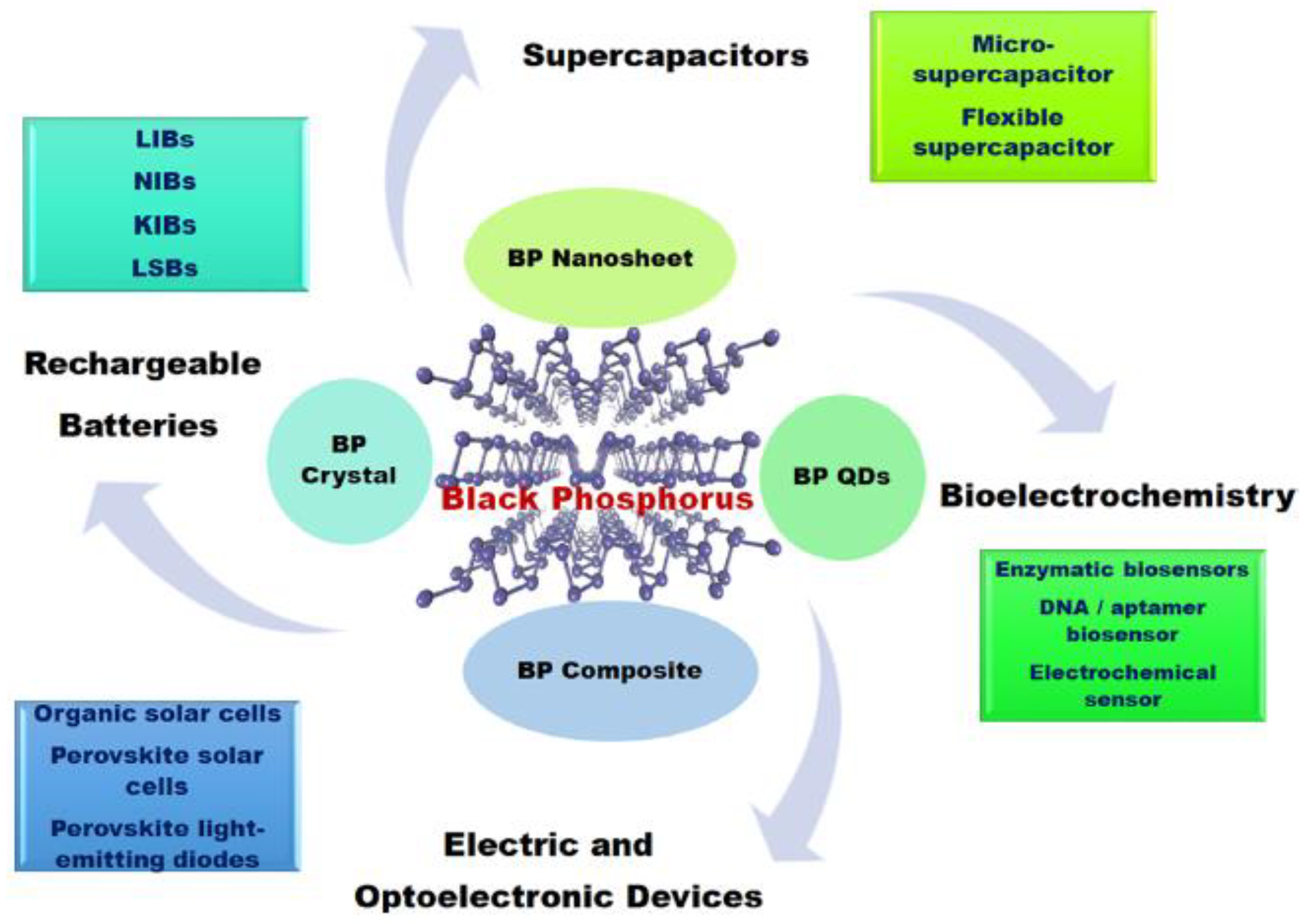 Catalysts 12 01403 g006