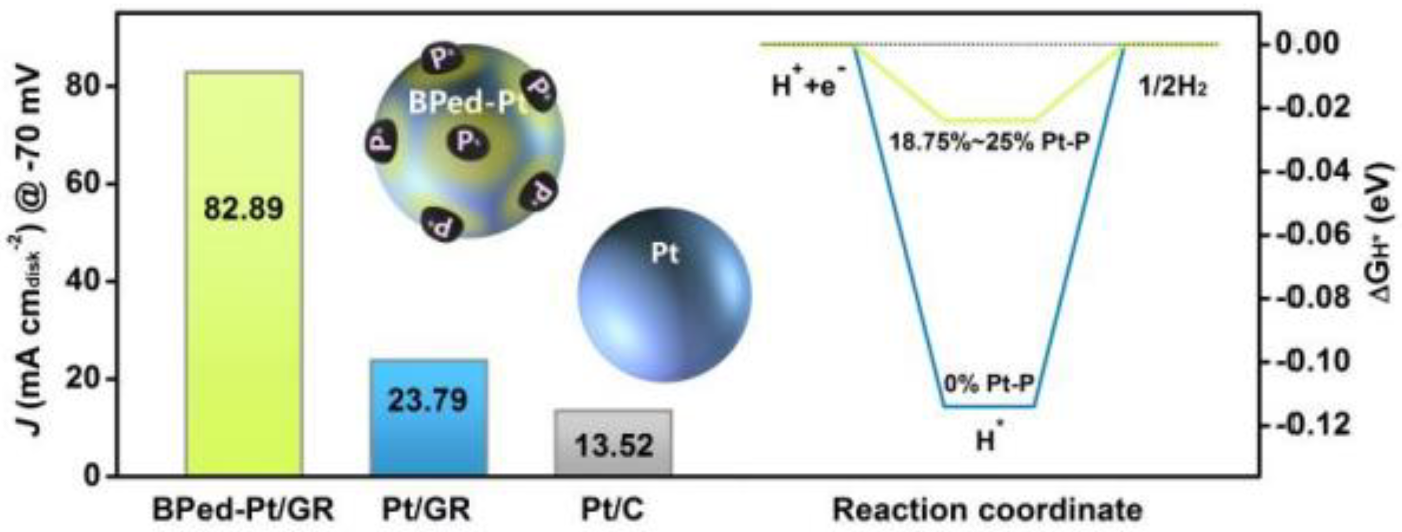 Catalysts 12 01403 g007