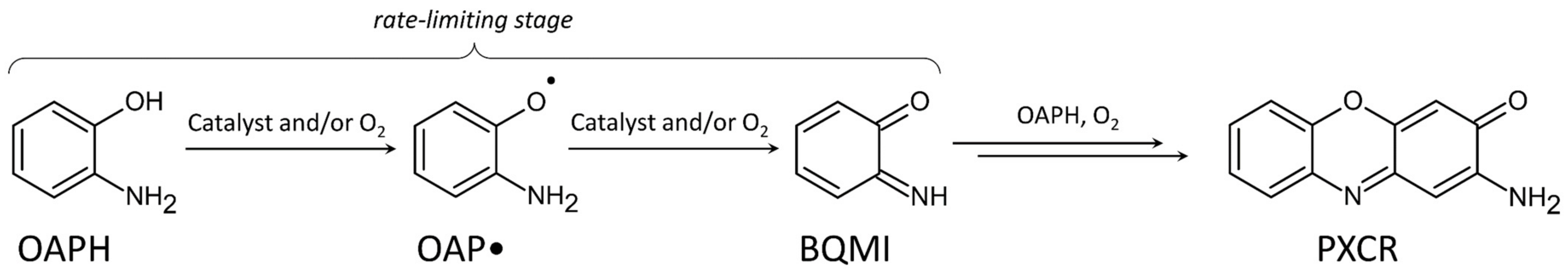 Catalysts 12 01408 sch004
