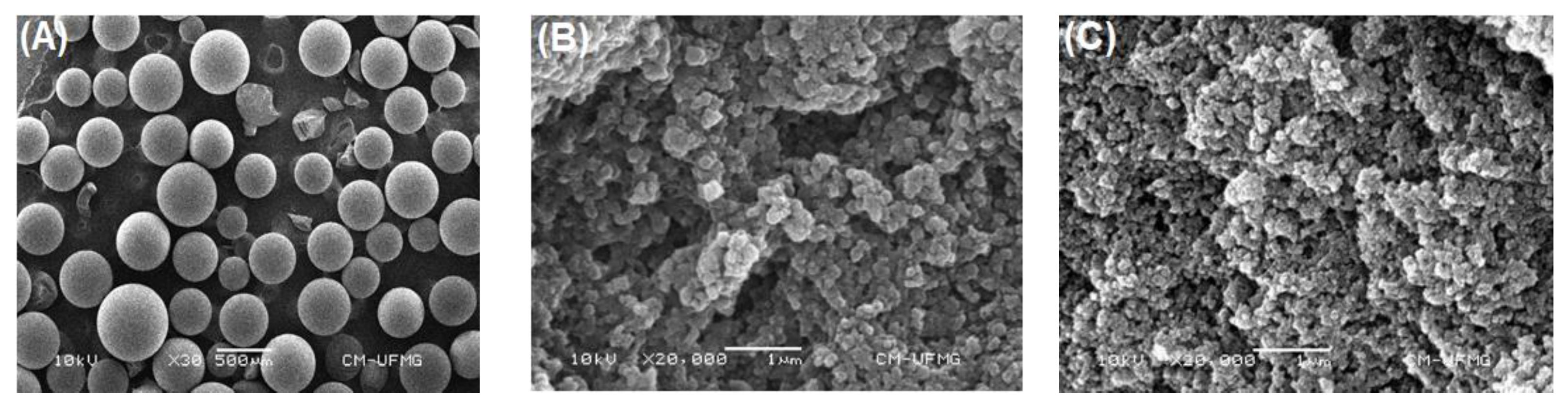 Catalysts 12 01412 g002 Catalysts 12 01412 g002