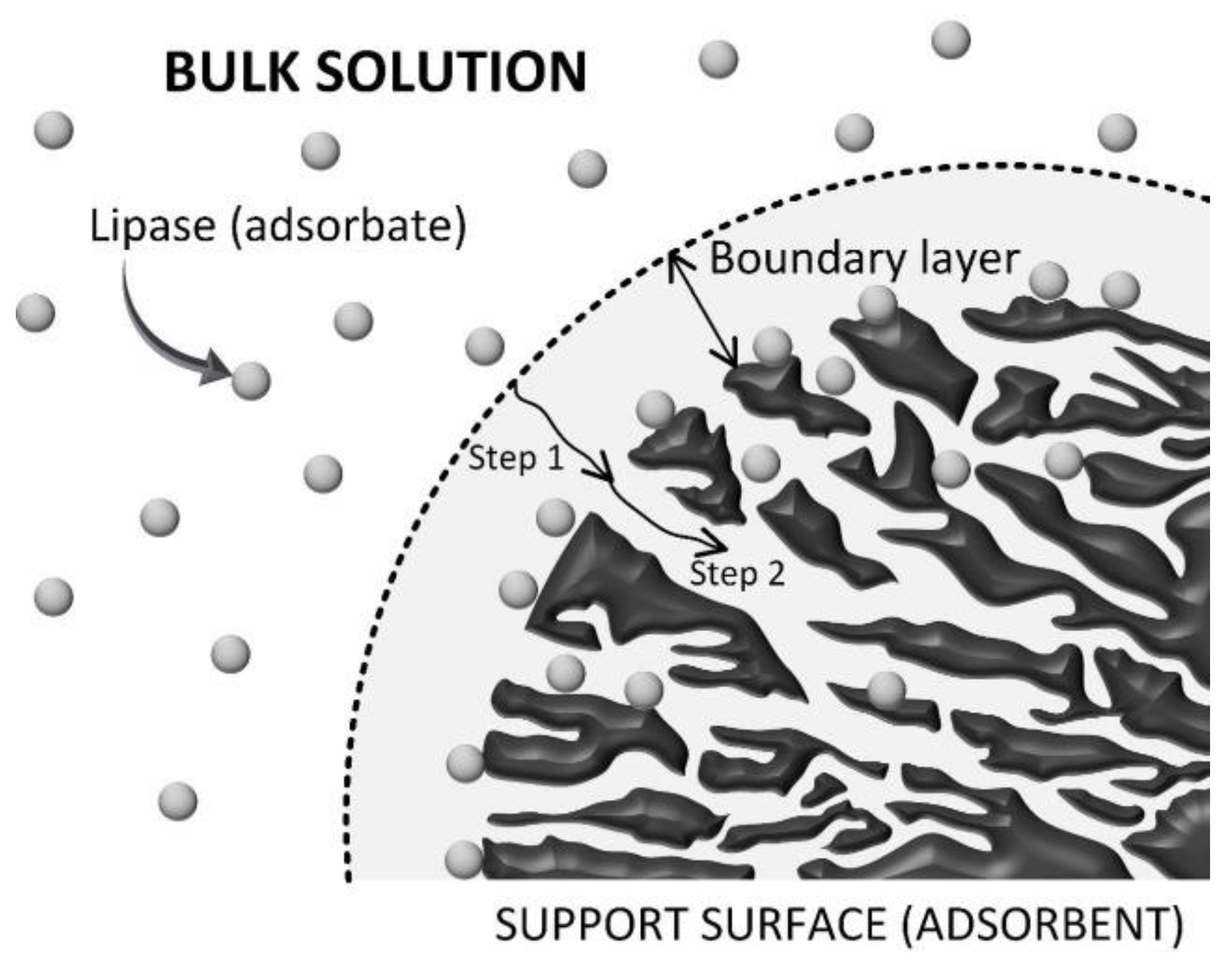 Catalysts 12 01412 g003 Catalysts 12 01412 g003
