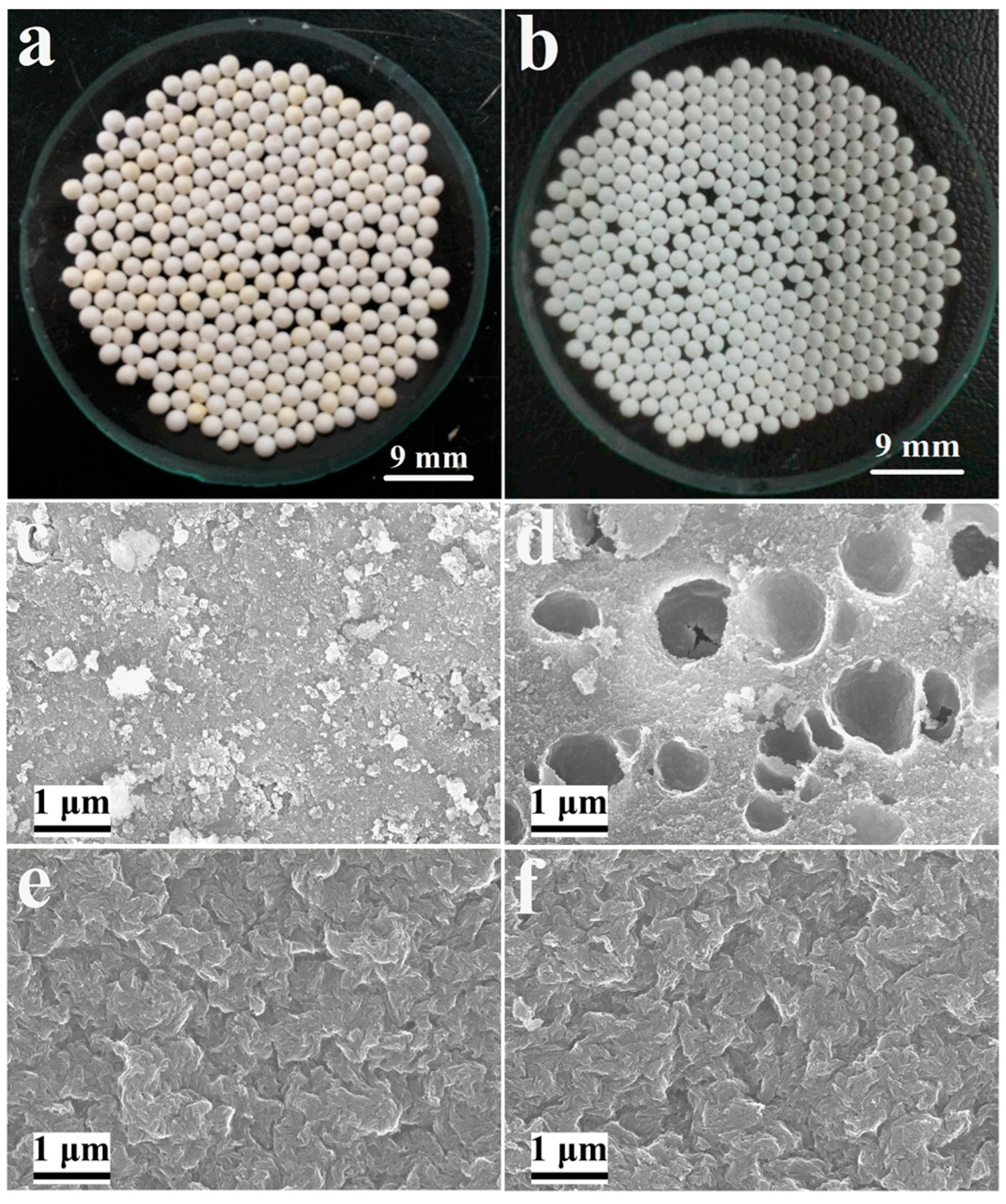 Catalysts 12 01416 g004 Catalysts 12 01416 g004