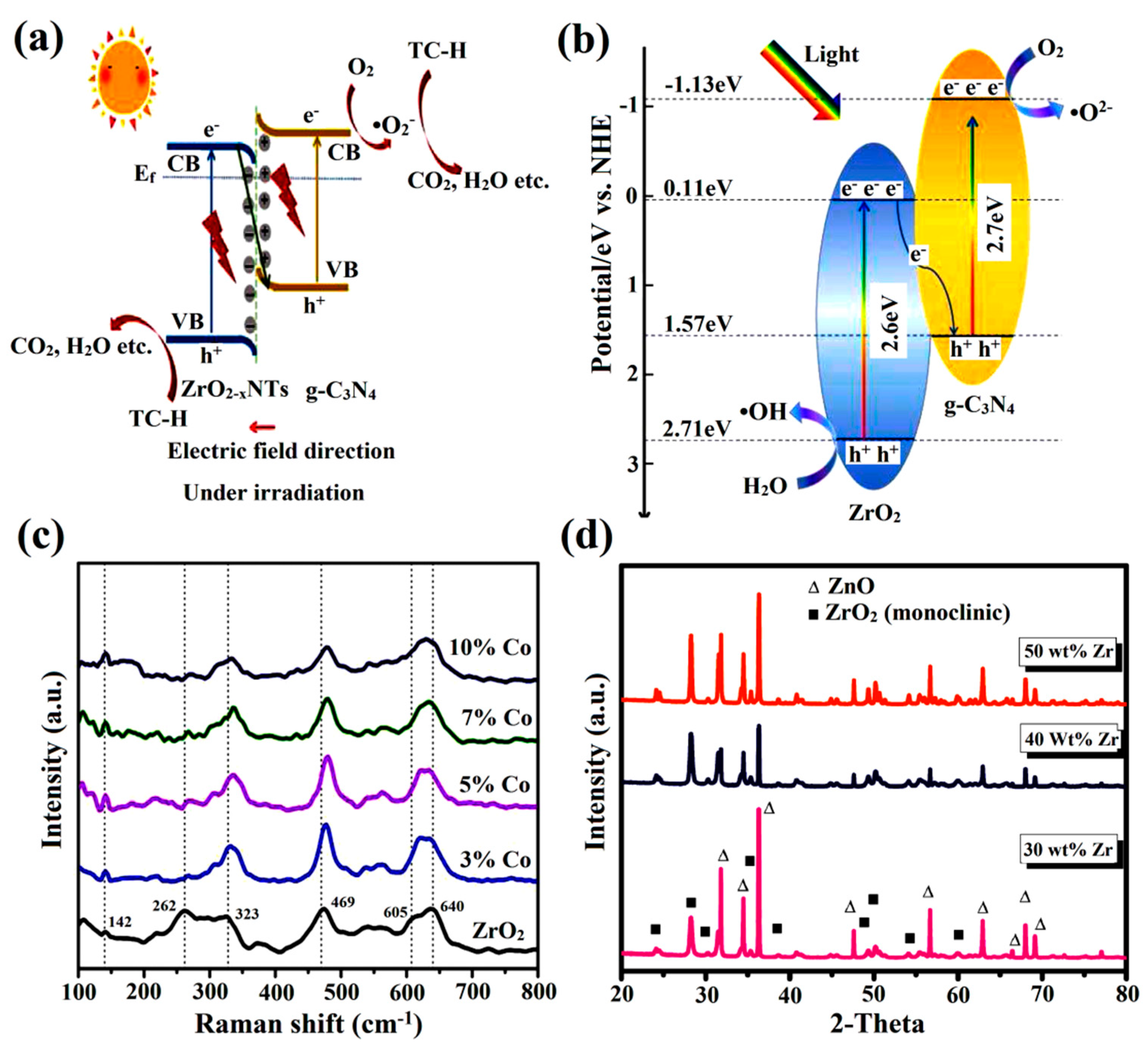 Catalysts 12 01418 g004