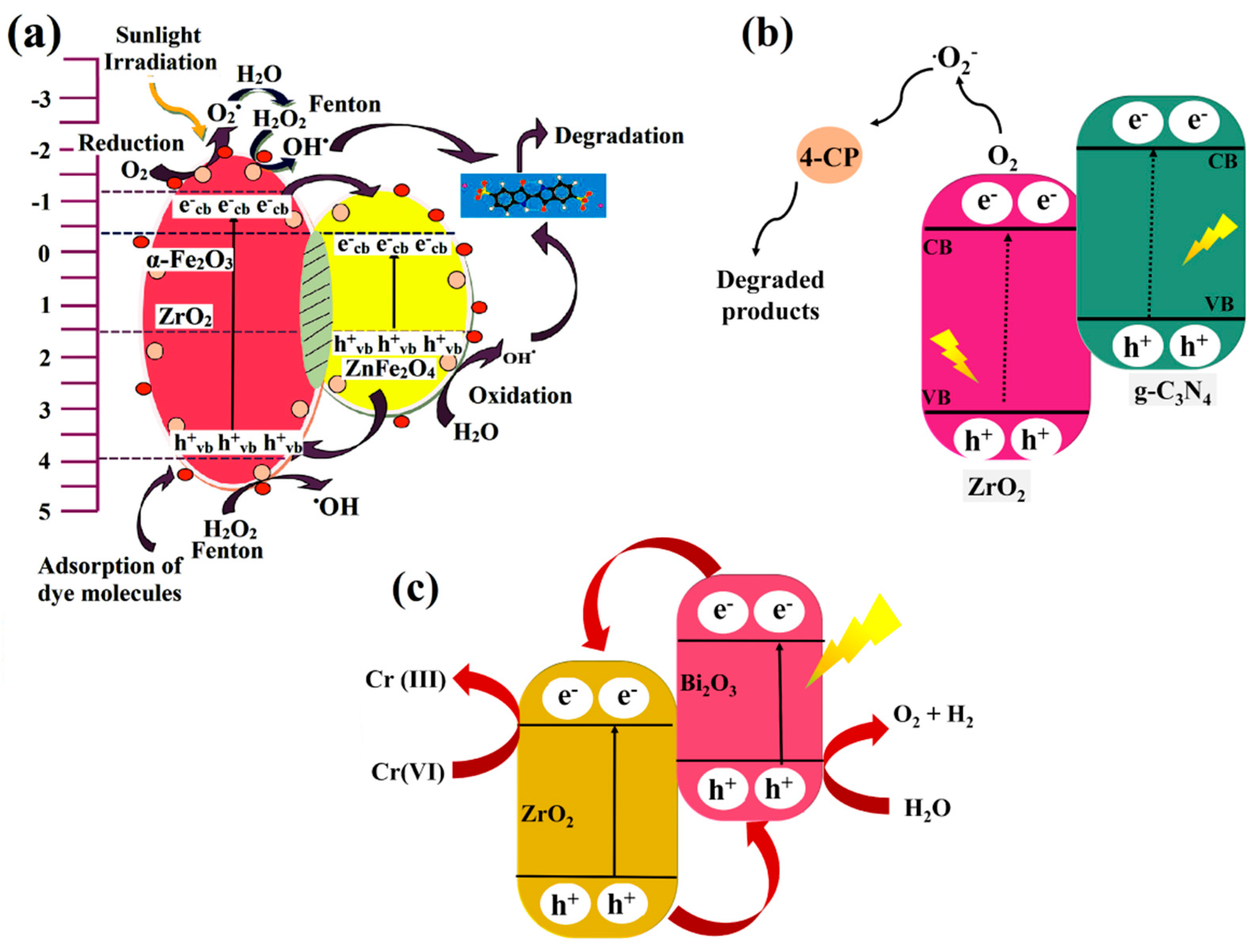 Catalysts 12 01418 g006