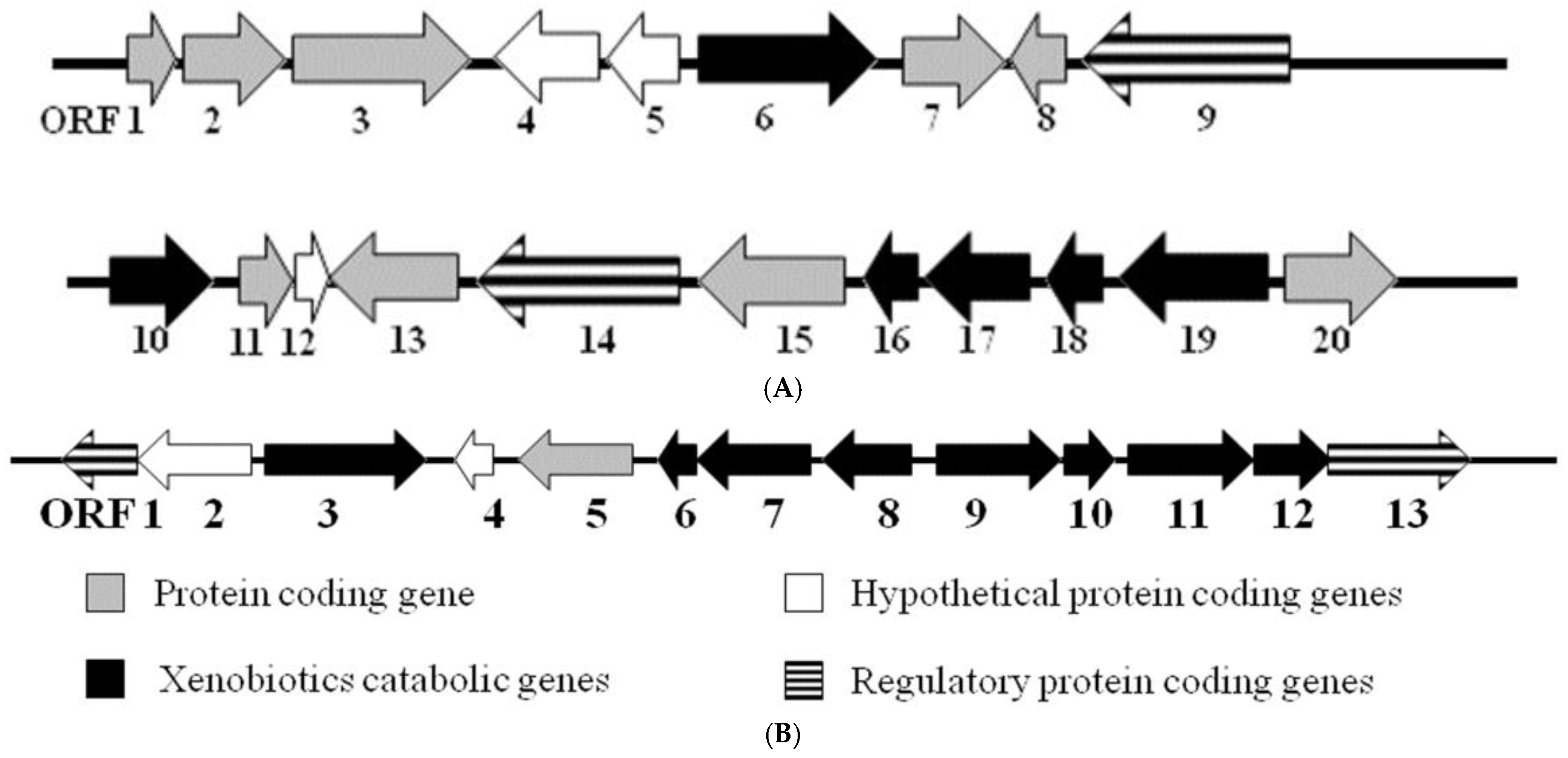 Catalysts 12 01422 g002