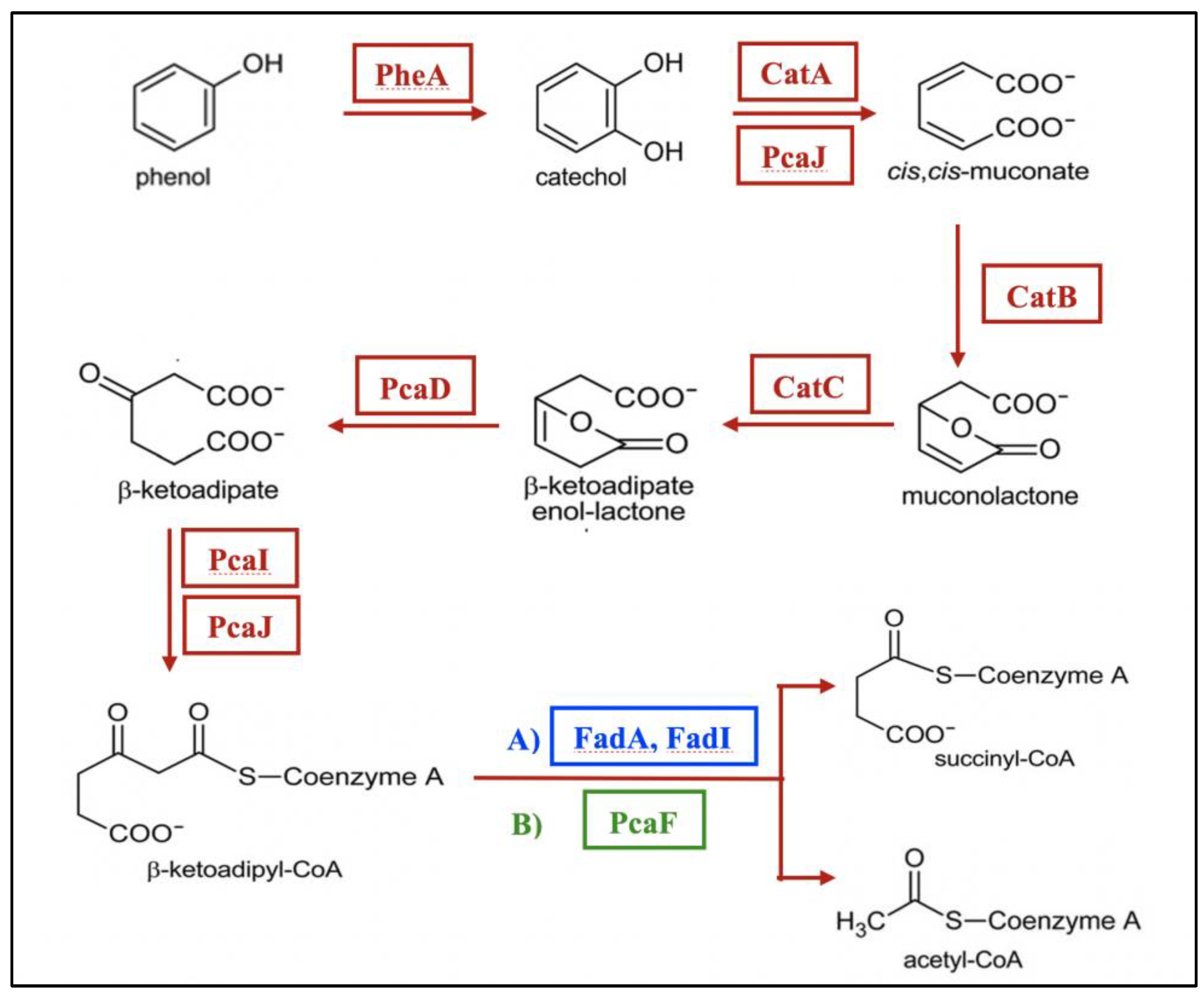 Catalysts 12 01422 g003