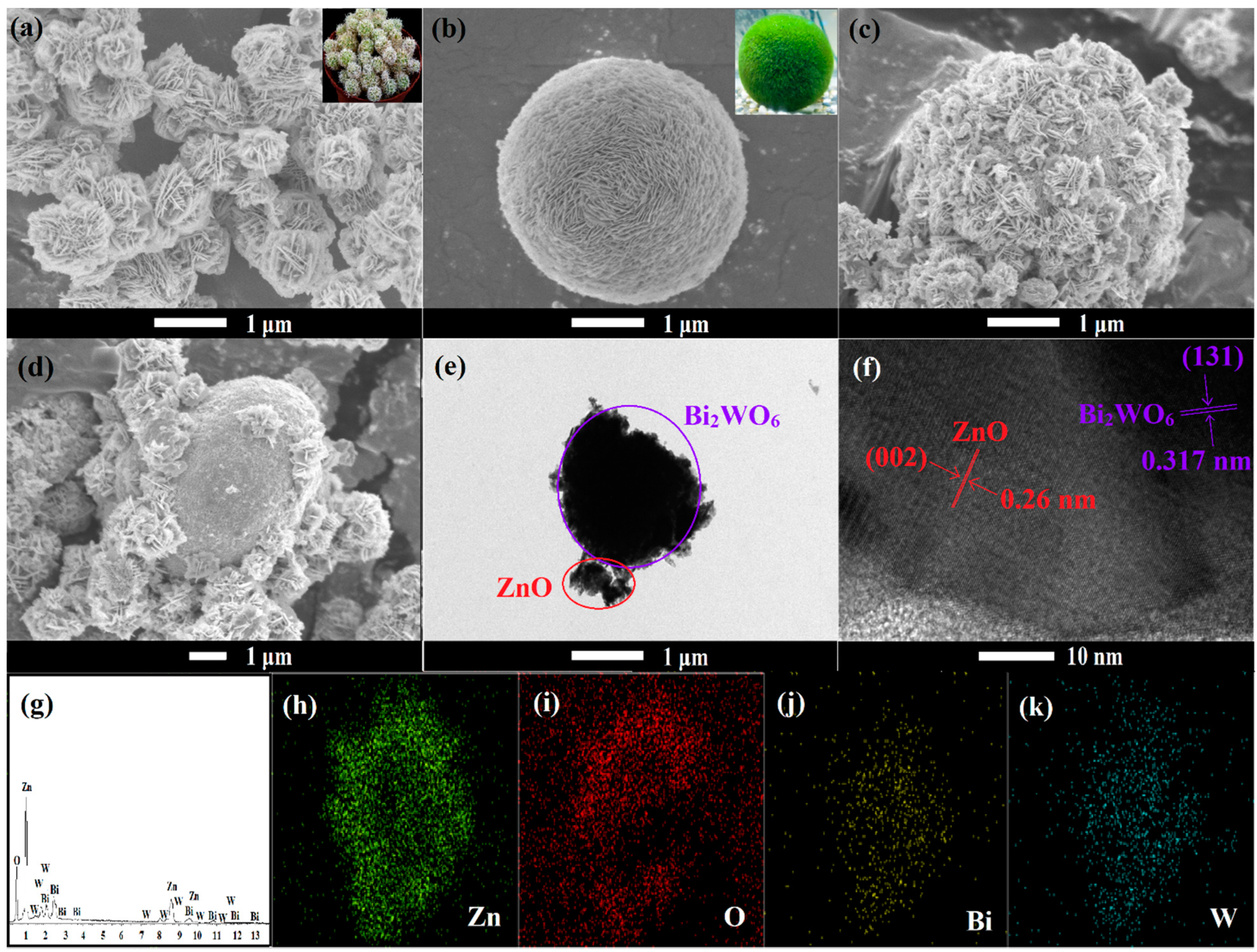 Catalysts 12 01427 g002 Catalysts 12 01427 g002