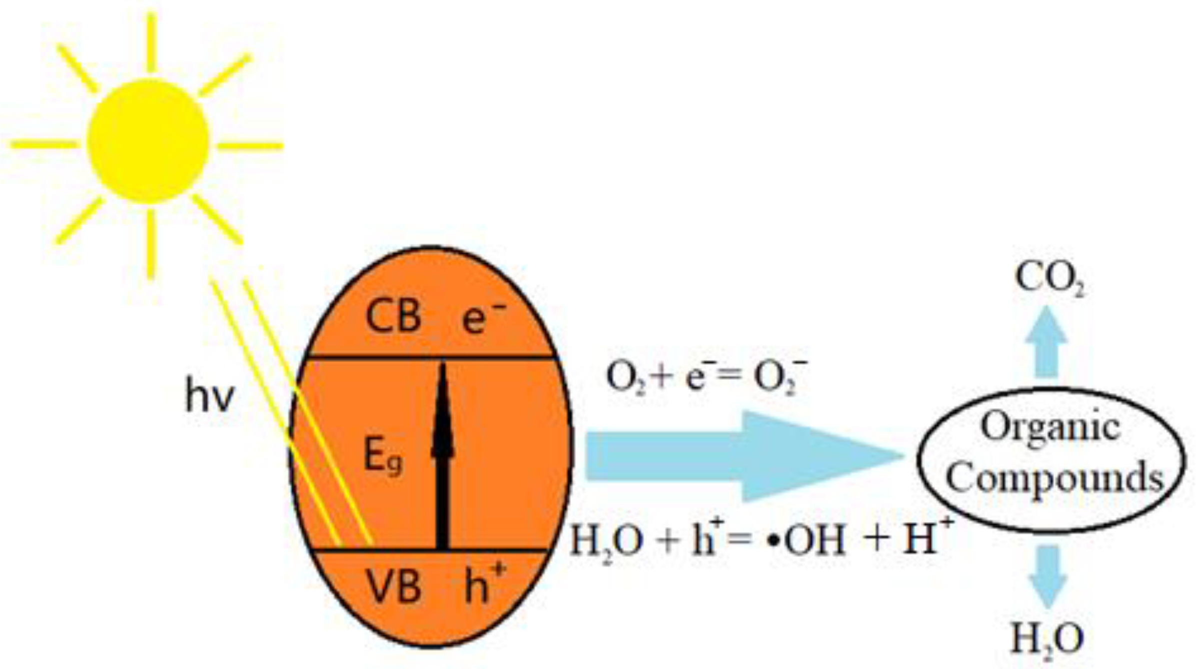 Catalysts 12 01434 g001 Catalysts 12 01434 g001