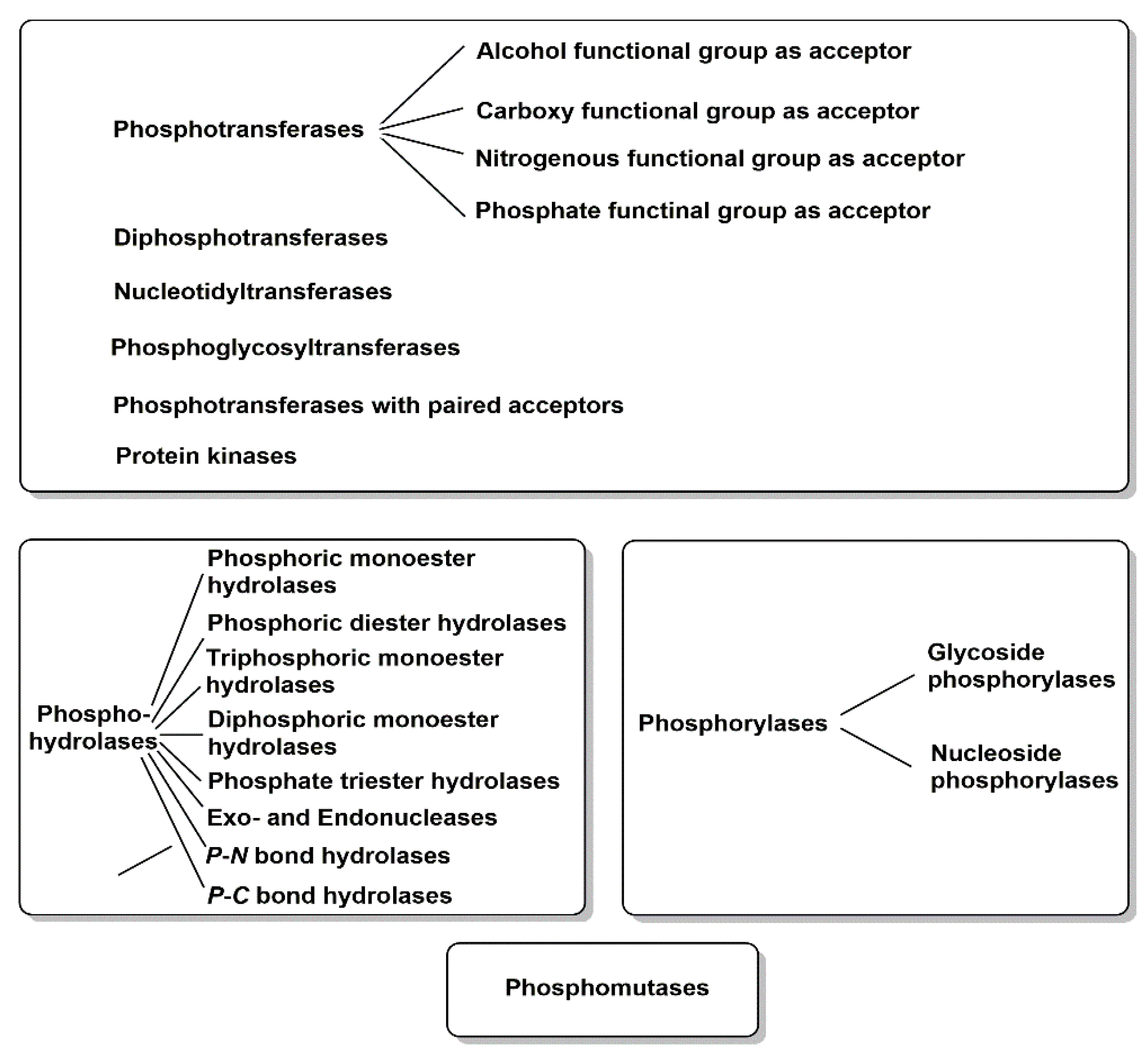 Catalysts 12 01436 g002 Catalysts 12 01436 g002