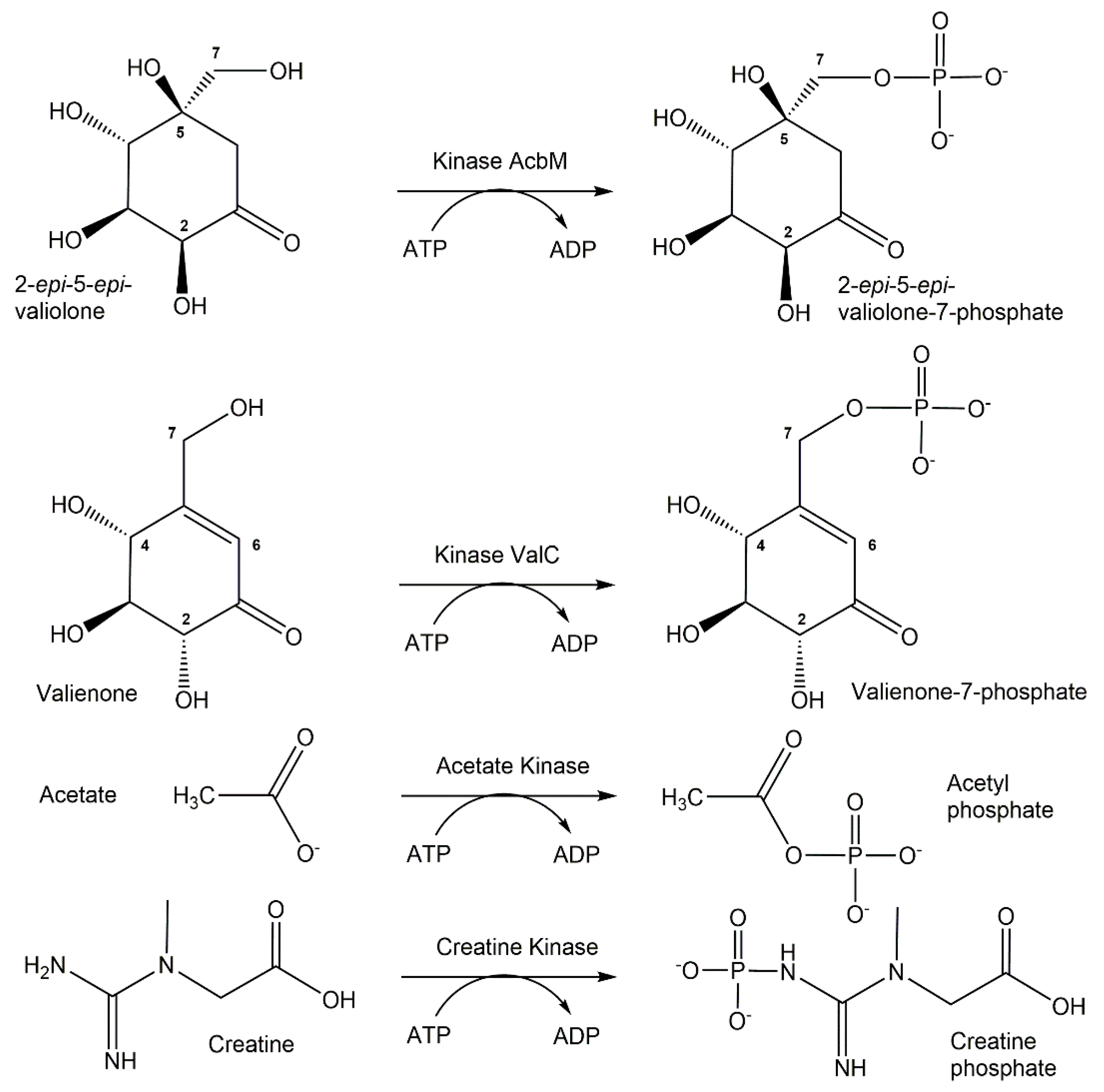 Catalysts 12 01436 g003 Catalysts 12 01436 g003