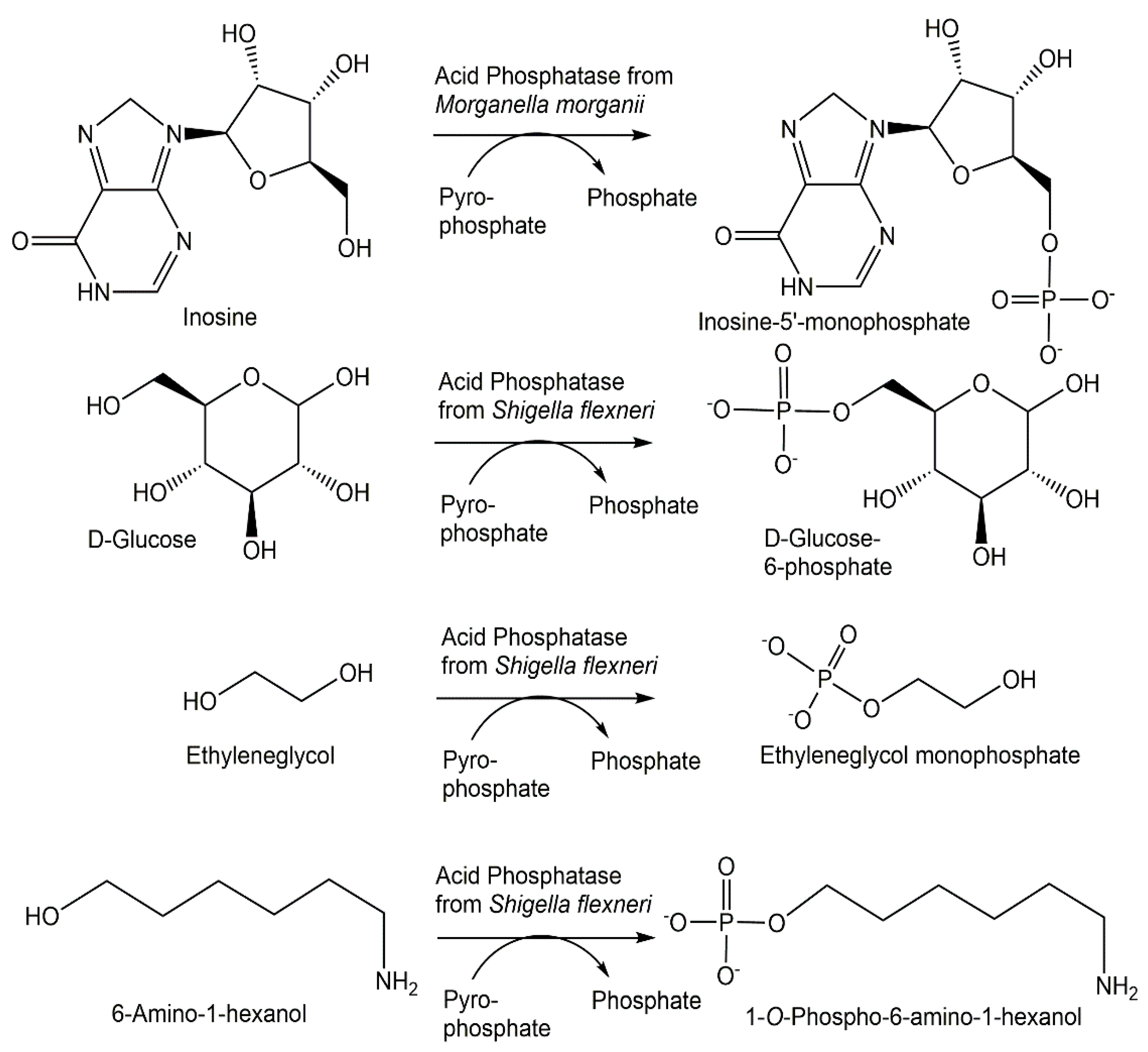 Catalysts 12 01436 g004 Catalysts 12 01436 g004