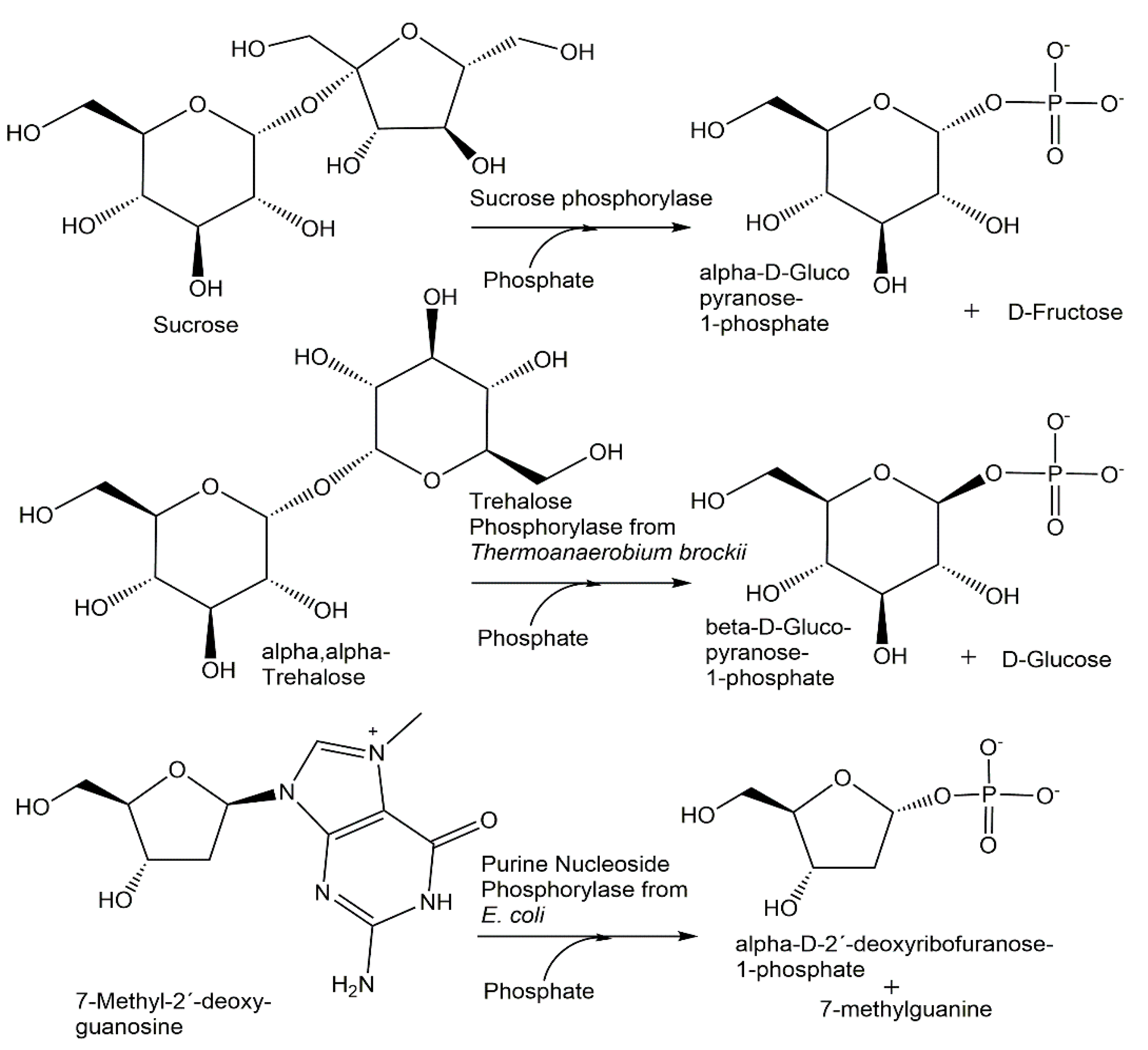 Catalysts 12 01436 g005 Catalysts 12 01436 g005