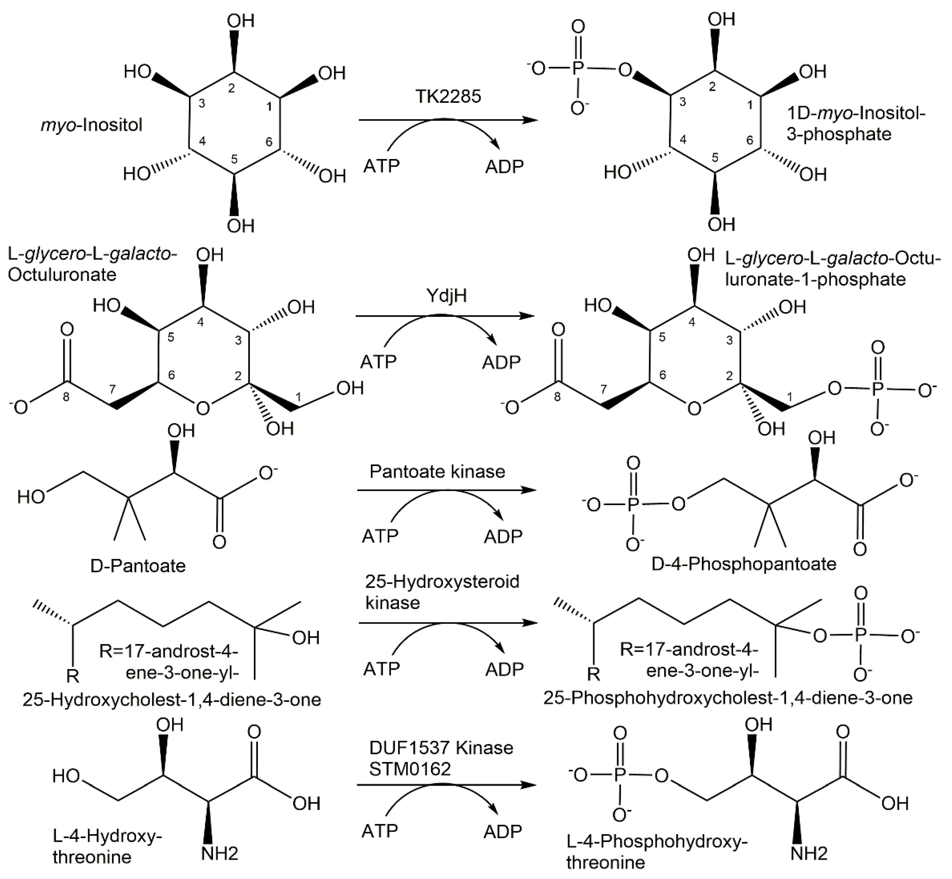 Catalysts 12 01436 g007 Catalysts 12 01436 g007