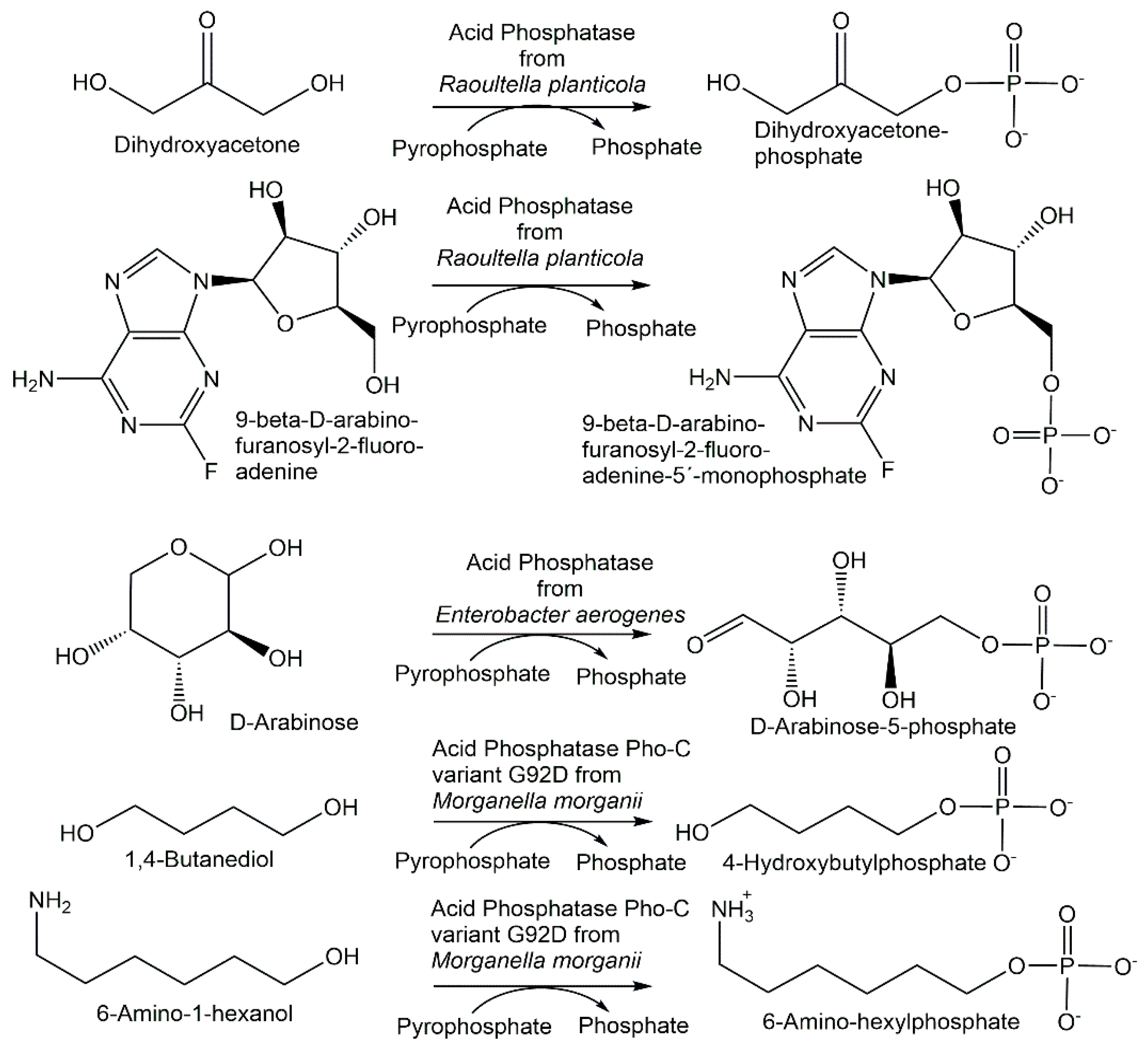 Catalysts 12 01436 g008 Catalysts 12 01436 g008