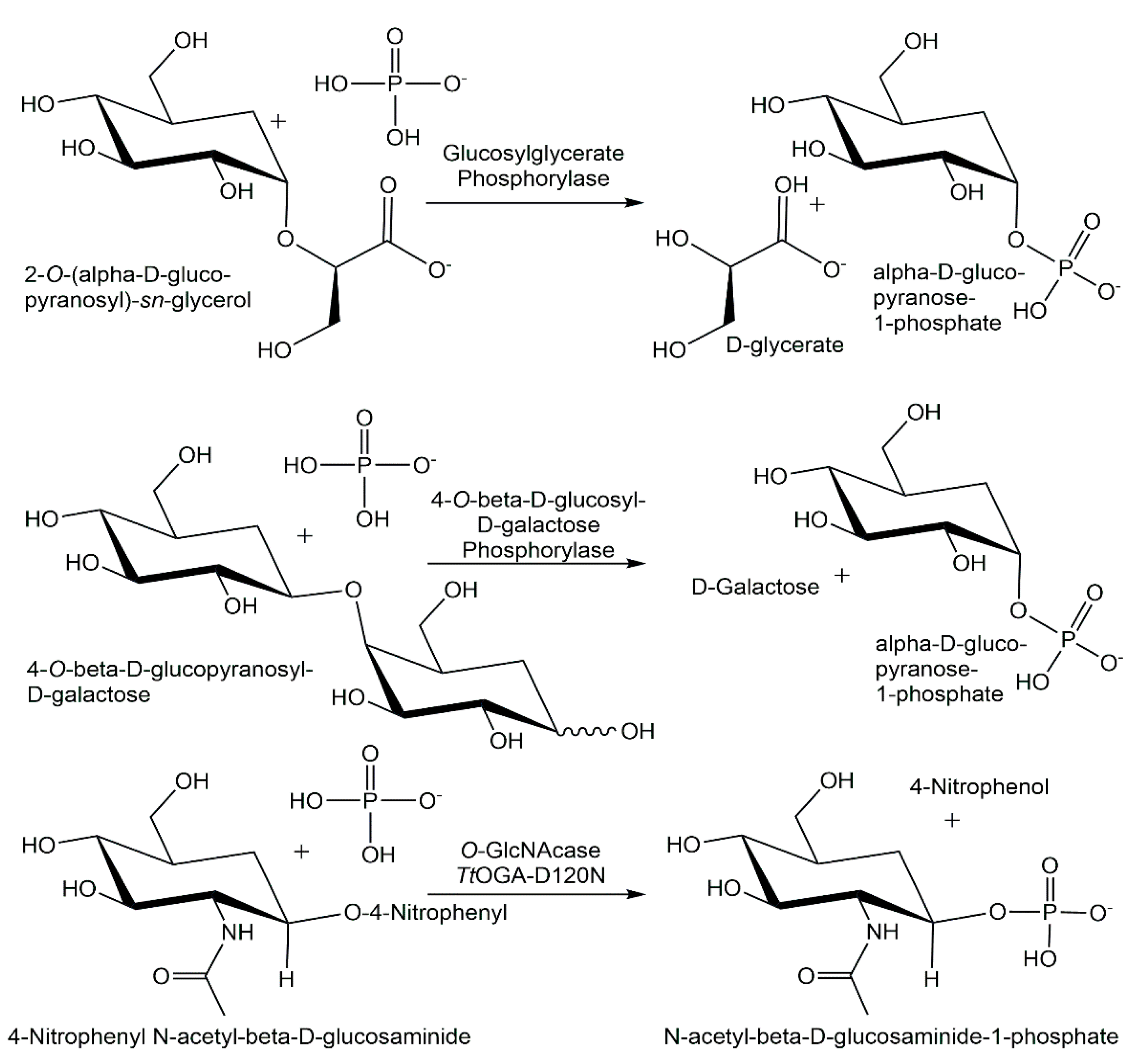 Catalysts 12 01436 g009 Catalysts 12 01436 g009