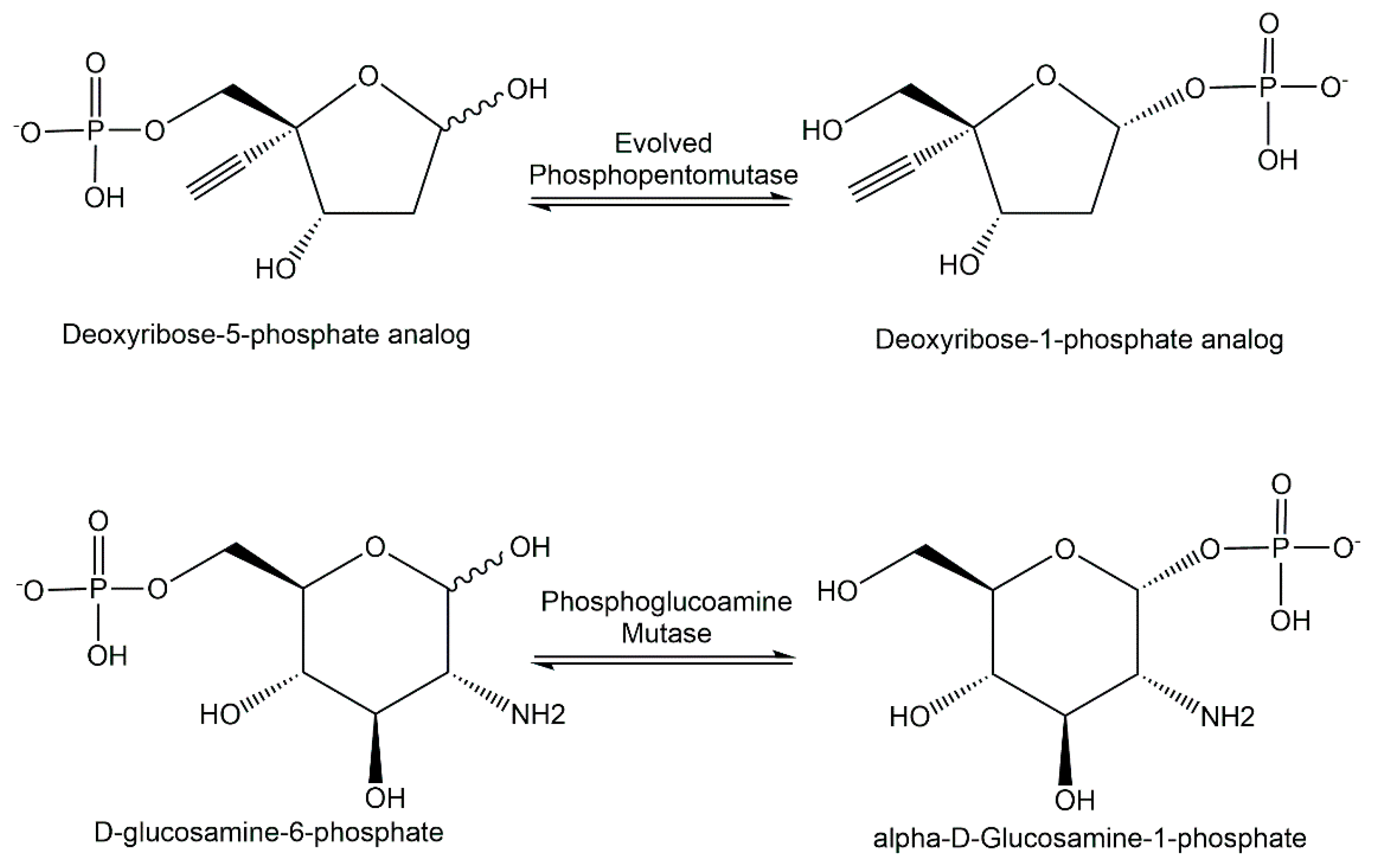Catalysts 12 01436 g010 Catalysts 12 01436 g010