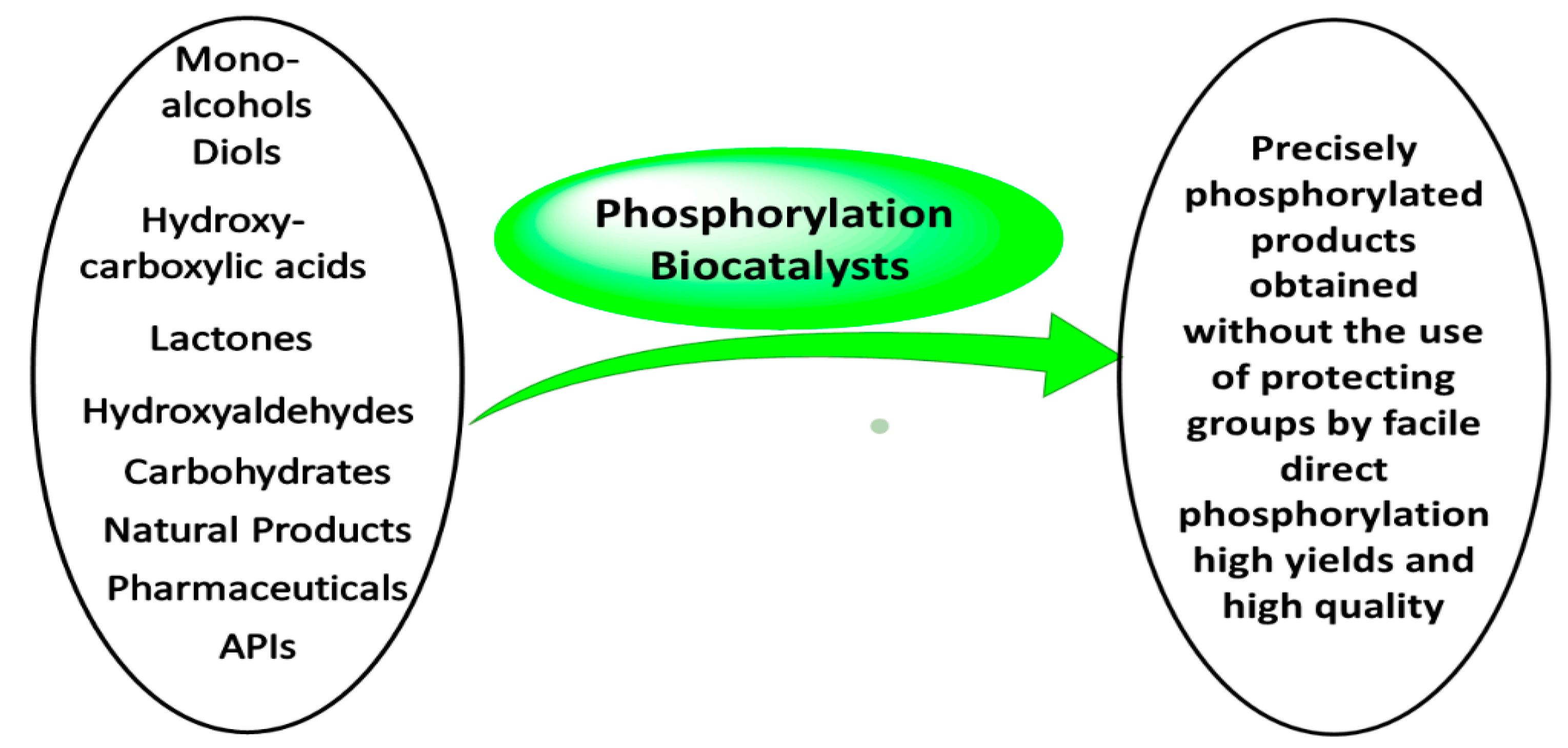 Catalysts 12 01436 g012 Catalysts 12 01436 g012