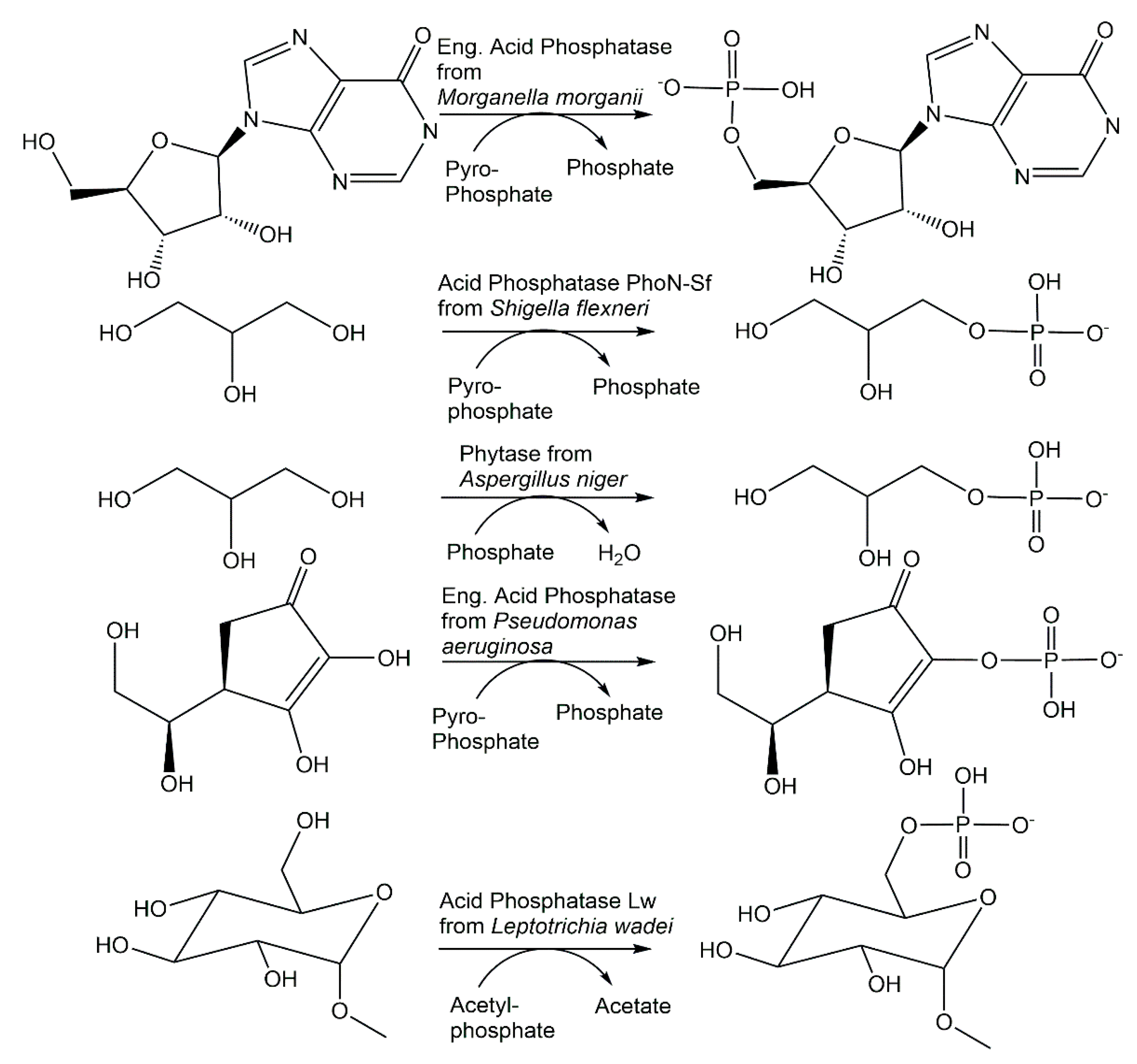 Catalysts 12 01436 g013 Catalysts 12 01436 g013