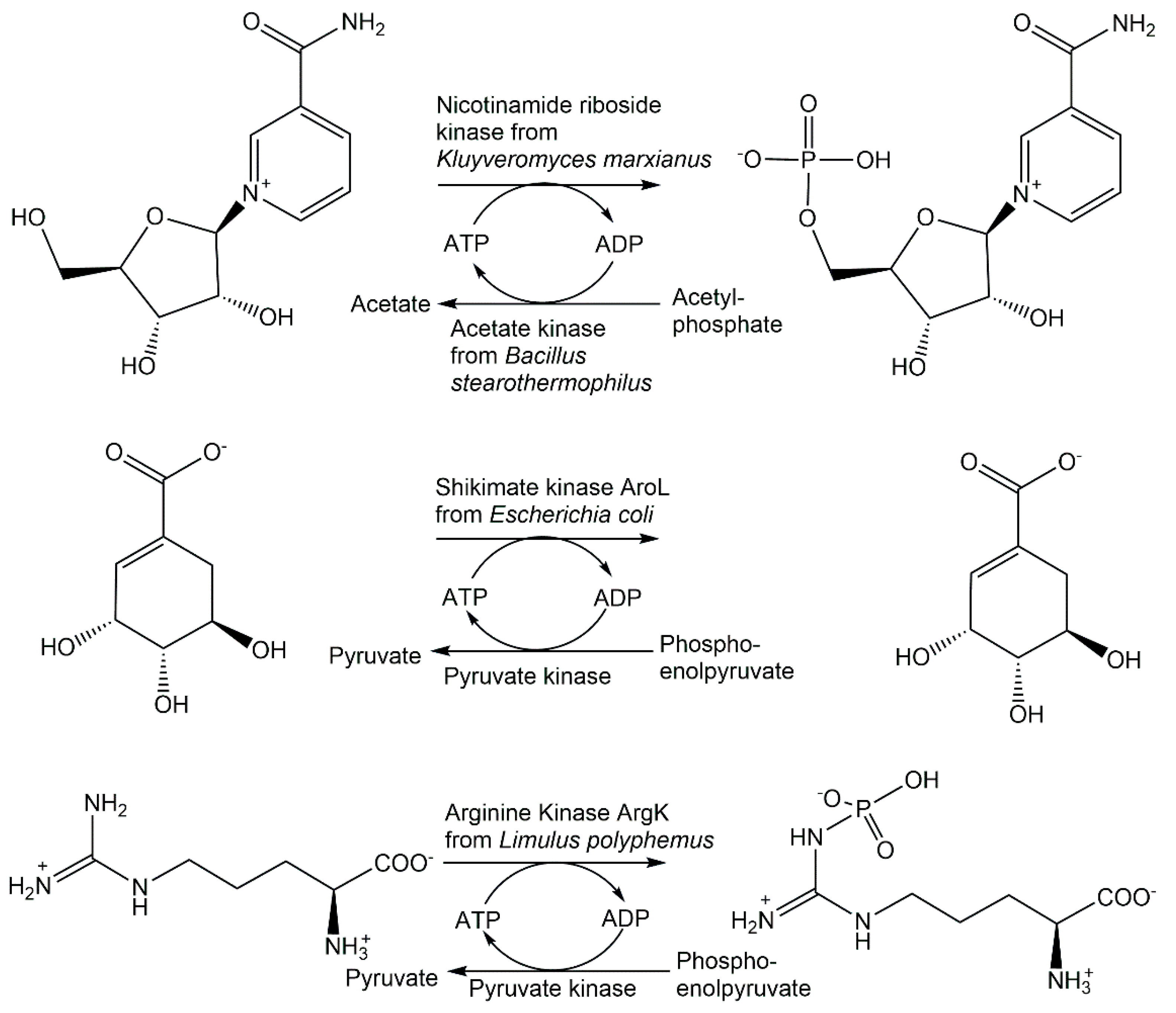 Catalysts 12 01436 g014 Catalysts 12 01436 g014