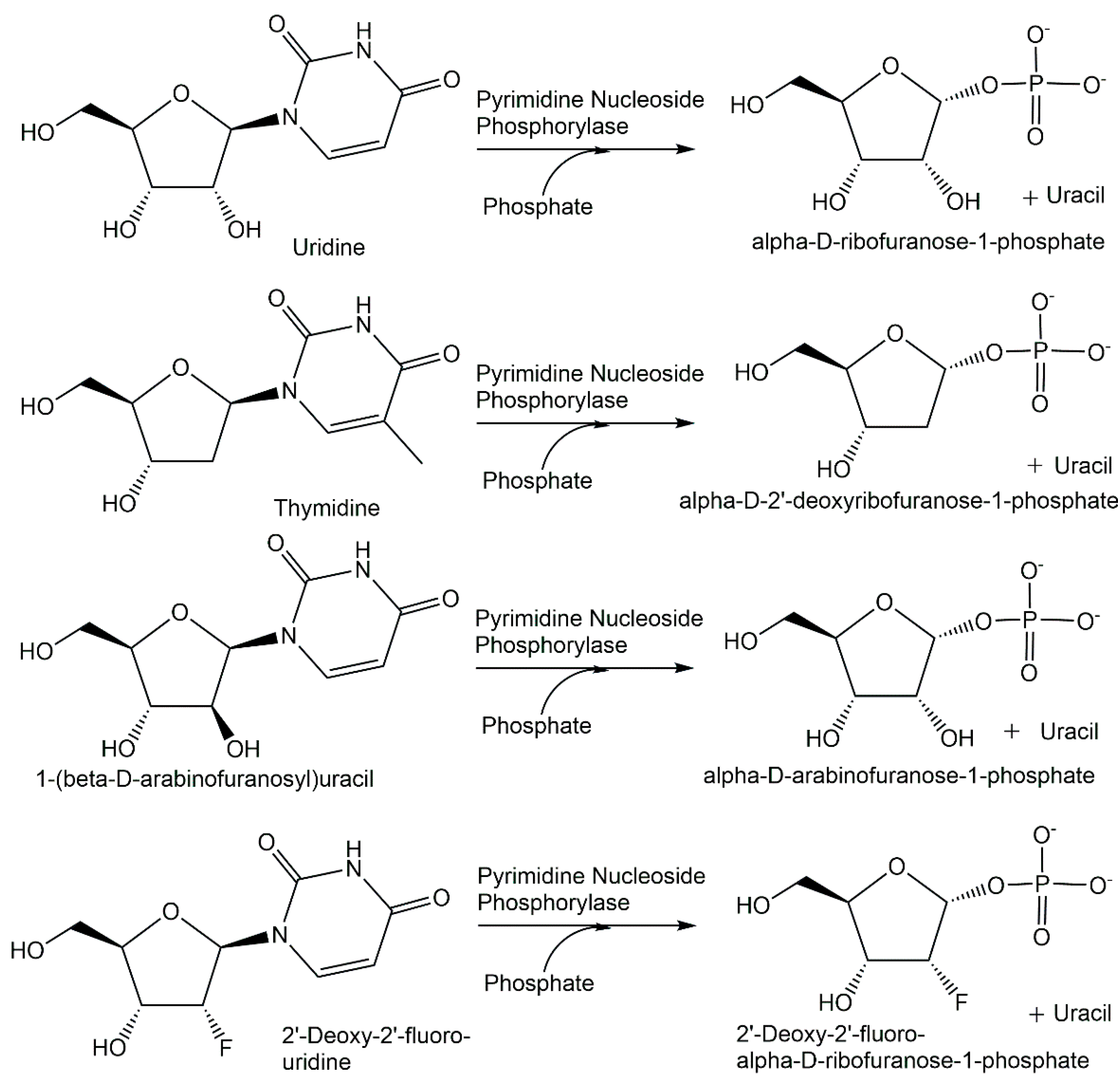 Catalysts 12 01436 g015 Catalysts 12 01436 g015
