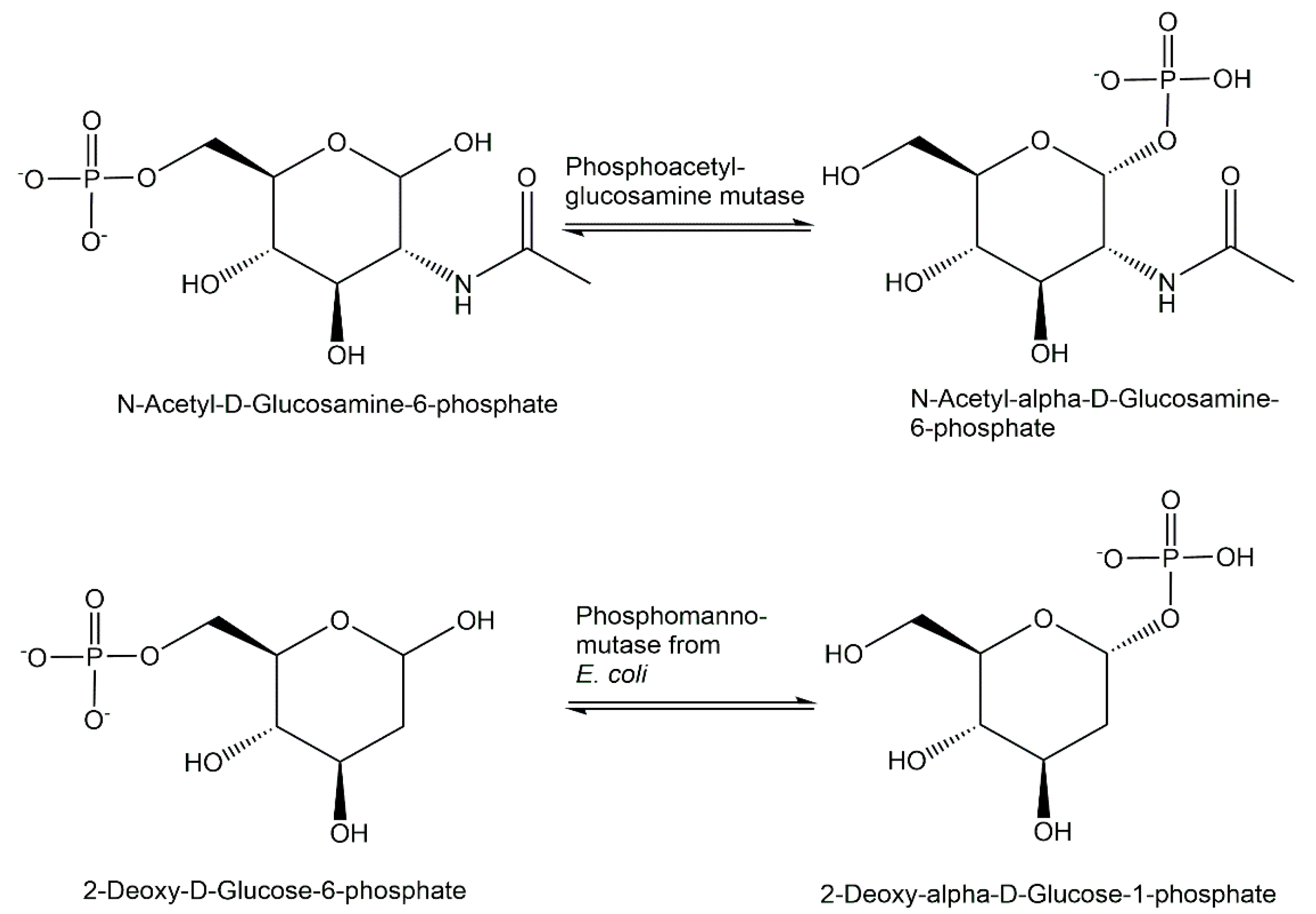 Catalysts 12 01436 g016 Catalysts 12 01436 g016