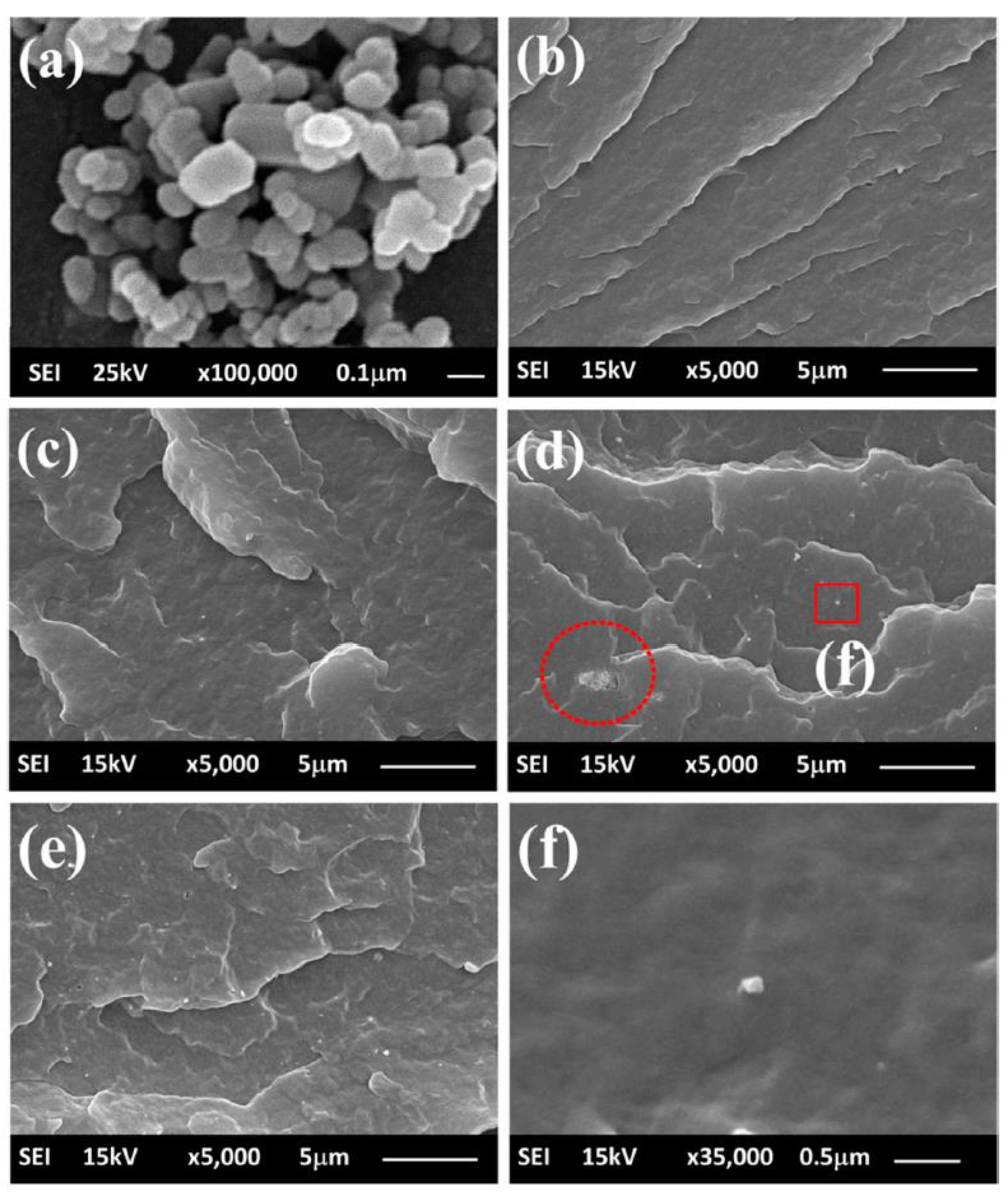 Catalysts 12 01439 g005 Catalysts 12 01439 g005