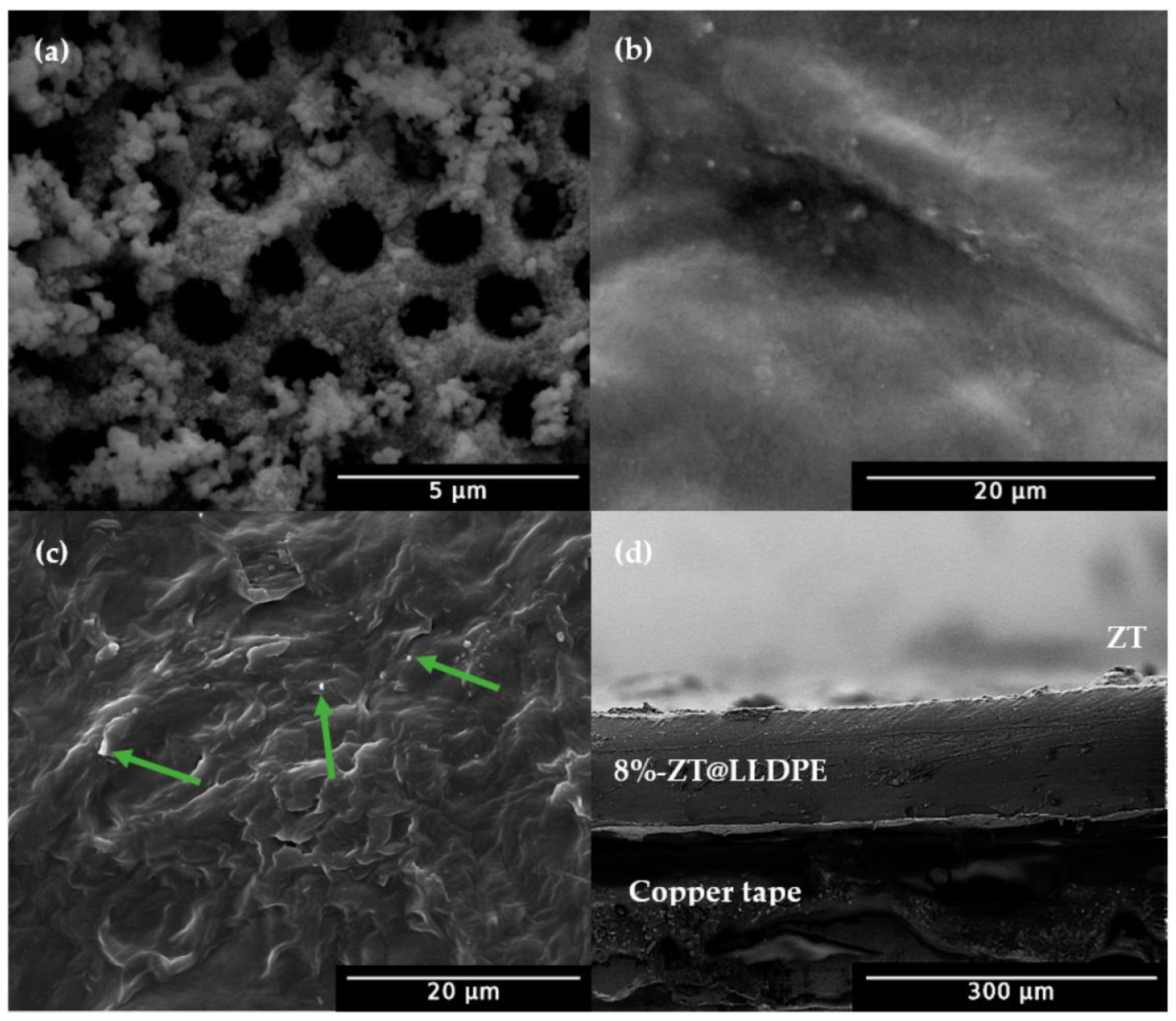 Catalysts 12 01439 g010 Catalysts 12 01439 g010