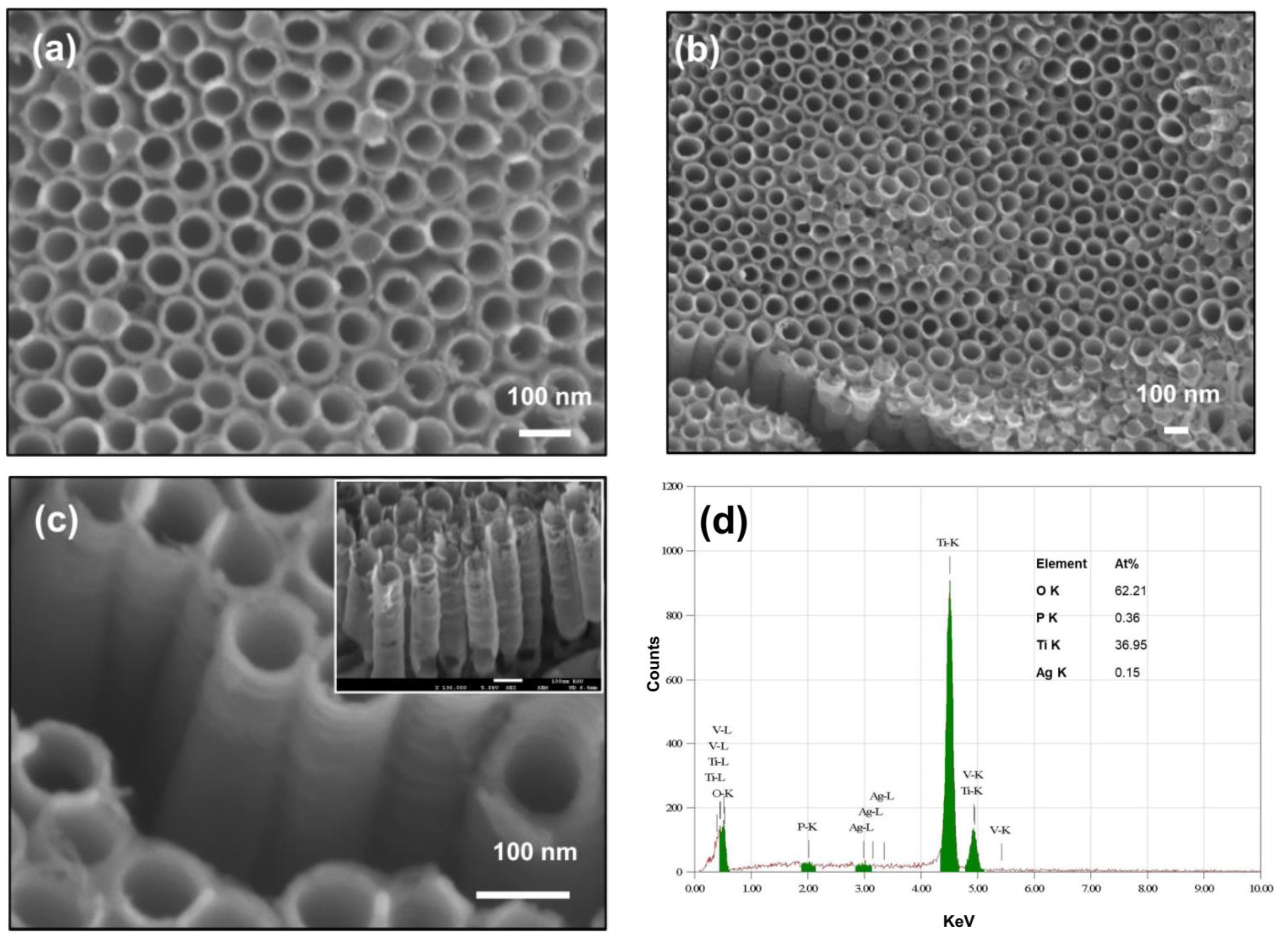 Catalysts 12 01440 g003