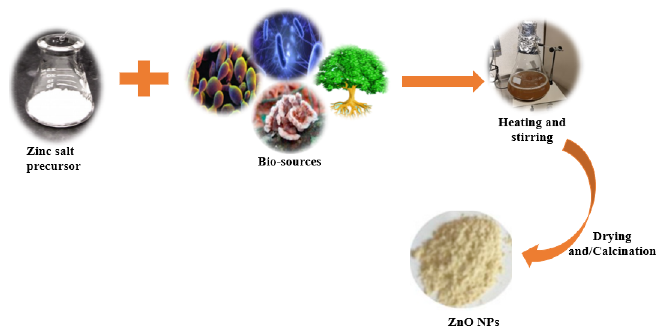 green synthesis of zno nanoparticles thesis