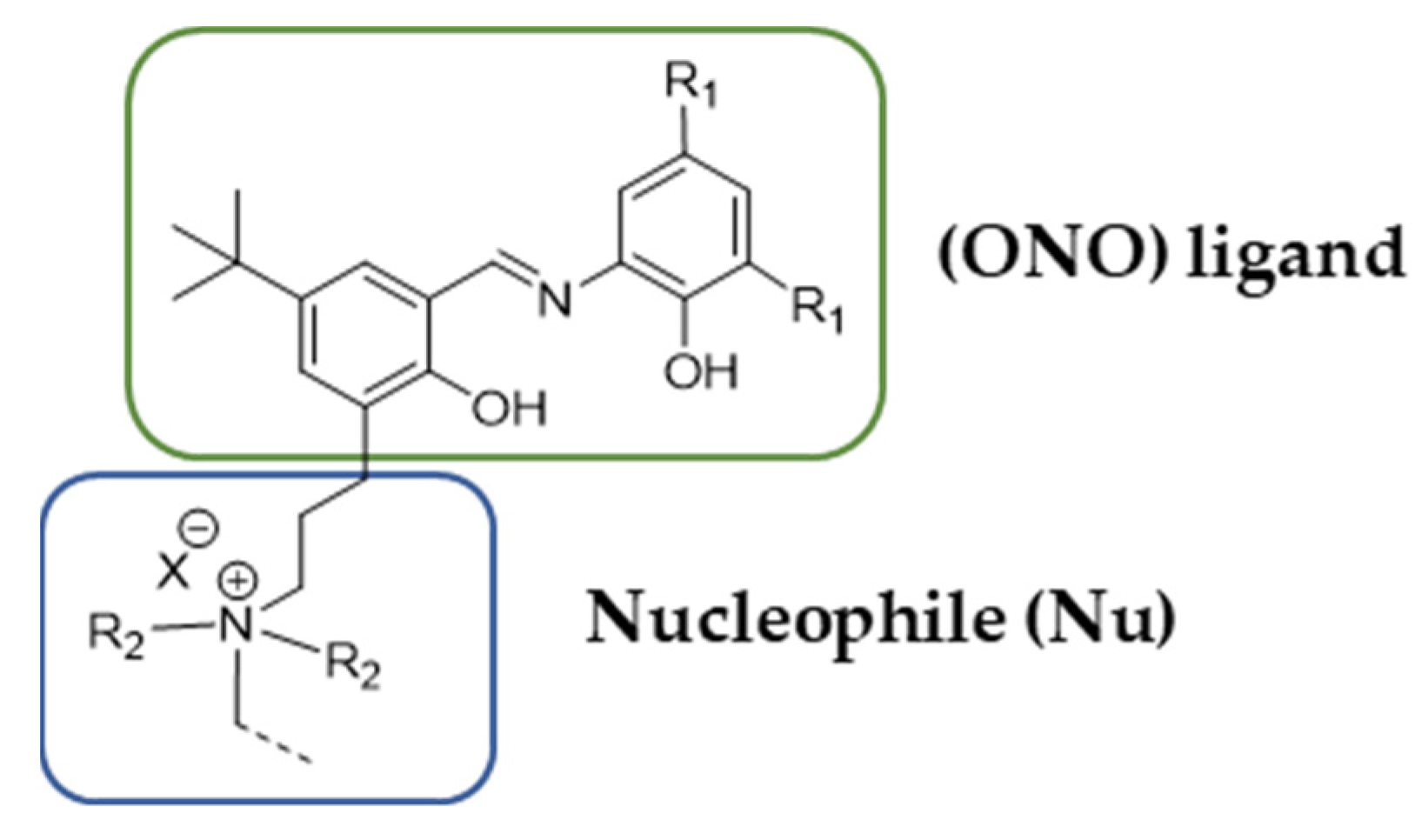 Catalysts 12 01443 g003