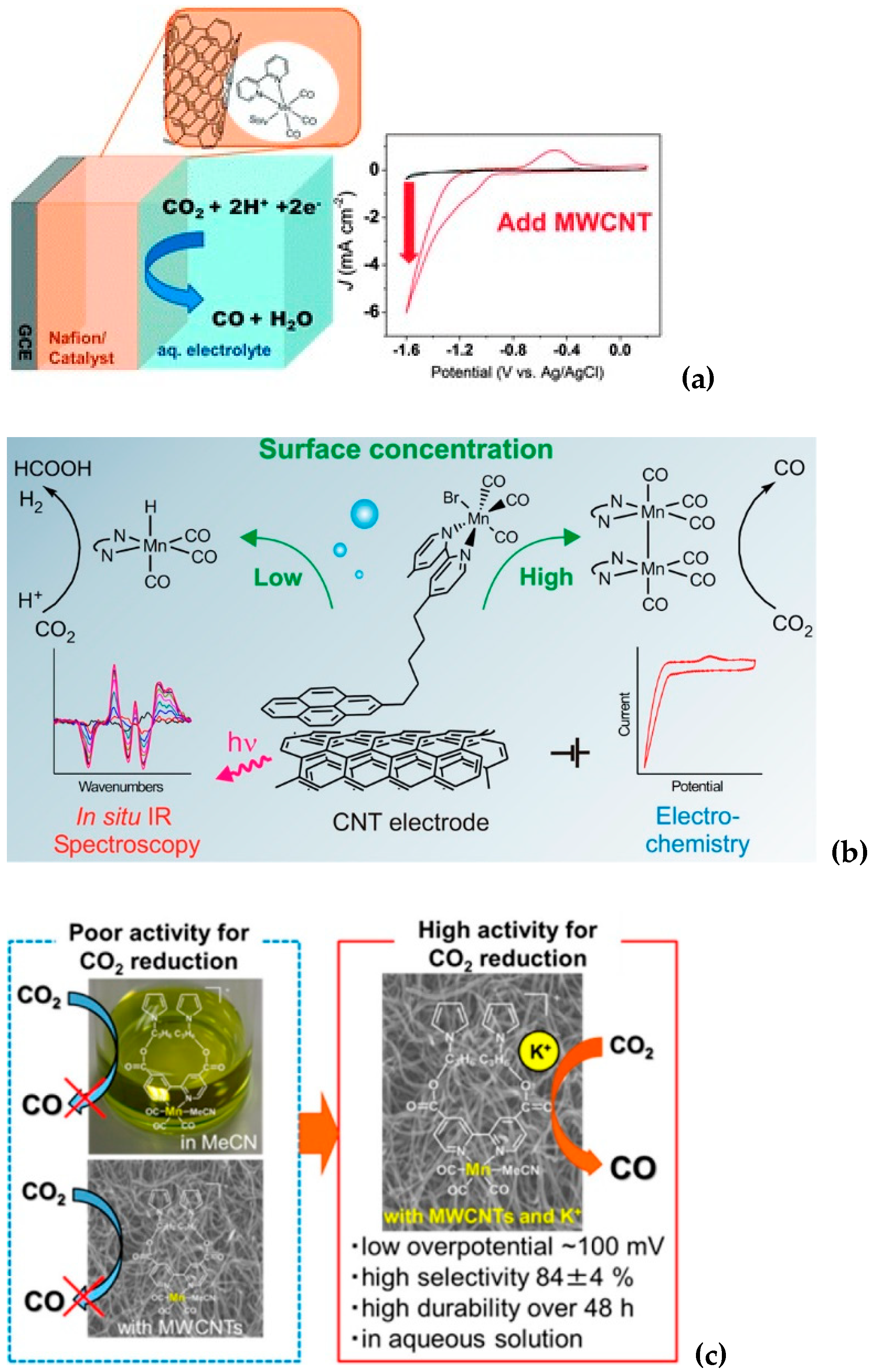 Catalysts 12 01448 g003