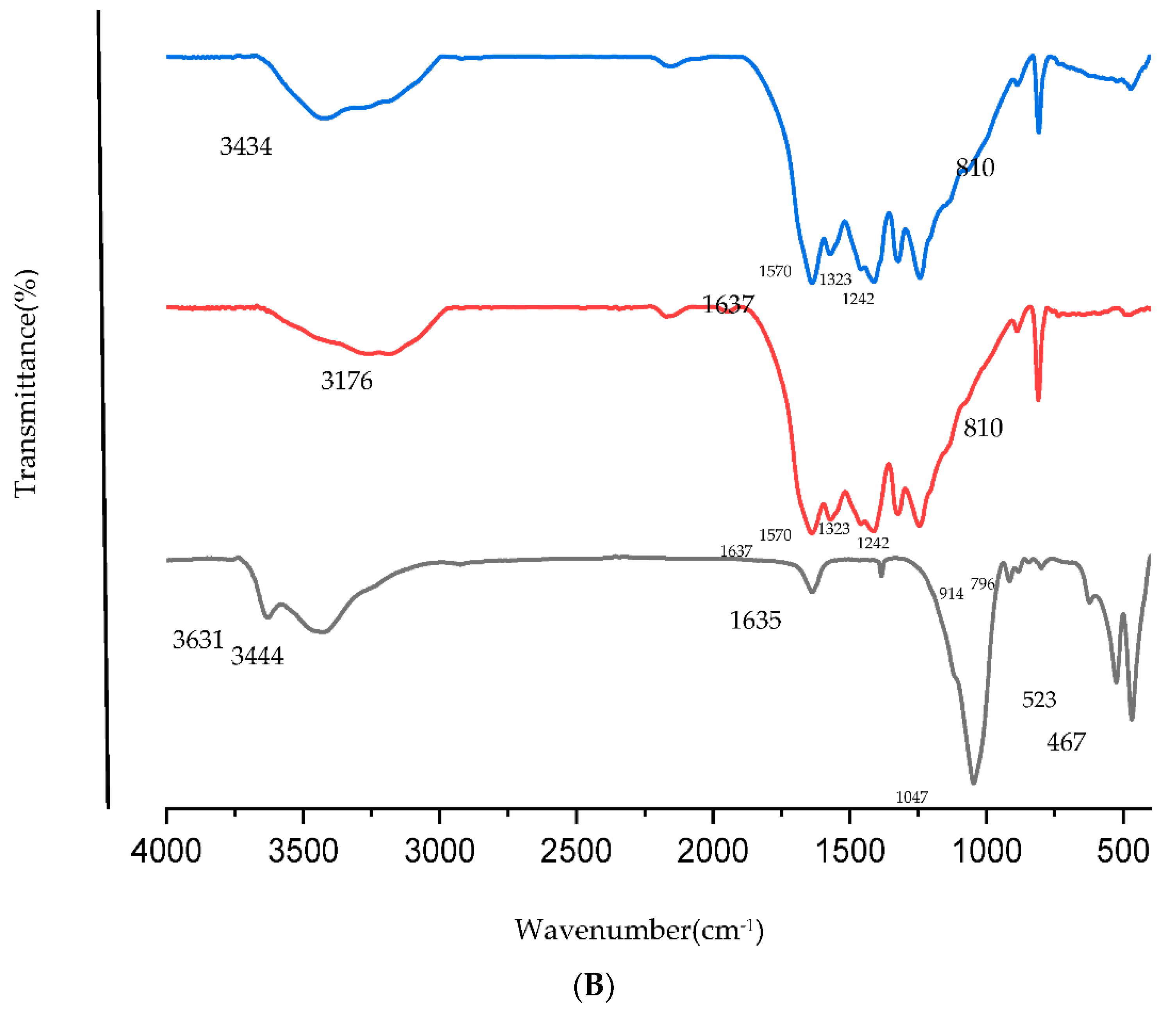 Catalysts 12 01450 g002b