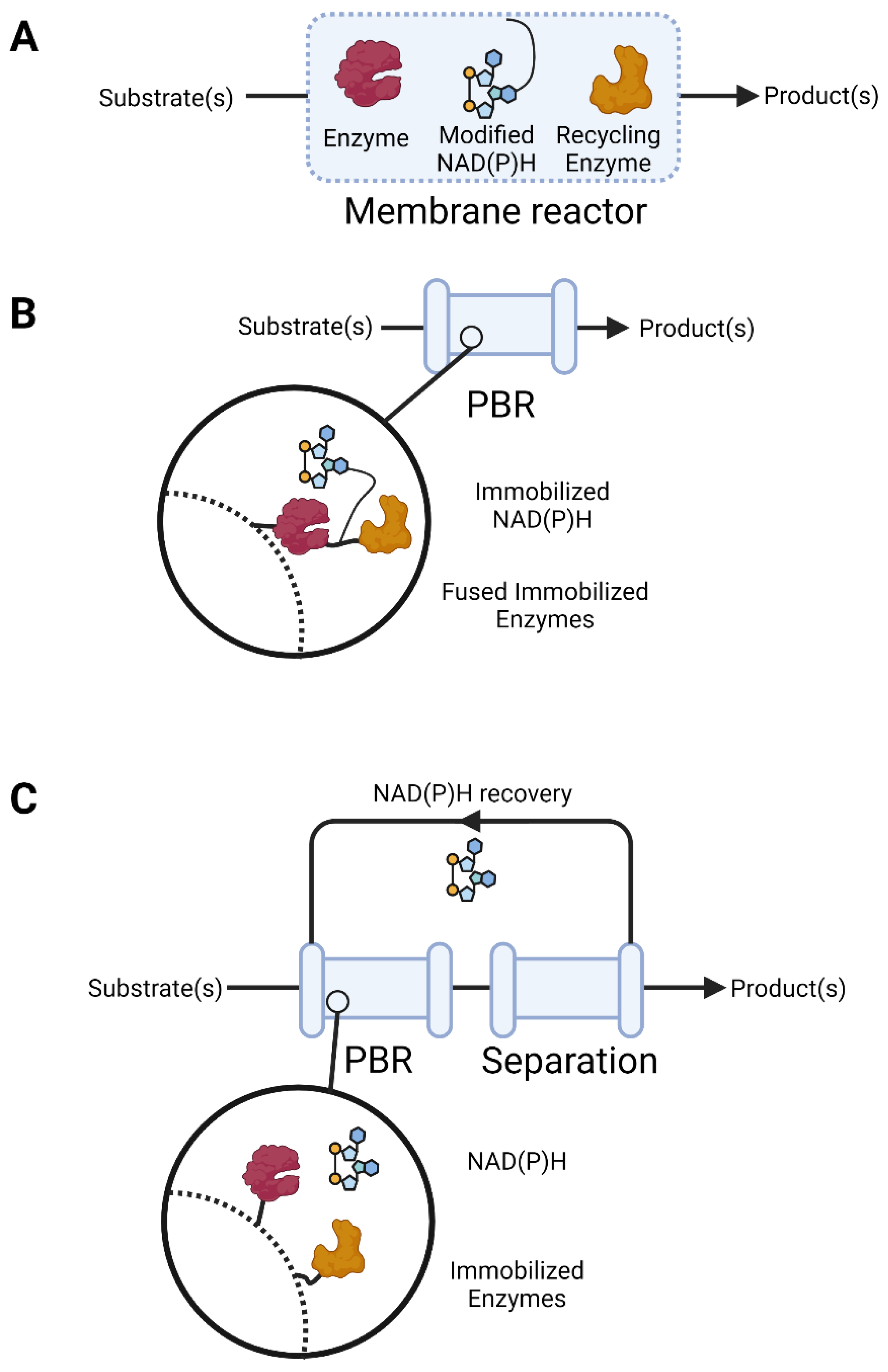 Catalysts 12 01454 g002 Catalysts 12 01454 g002