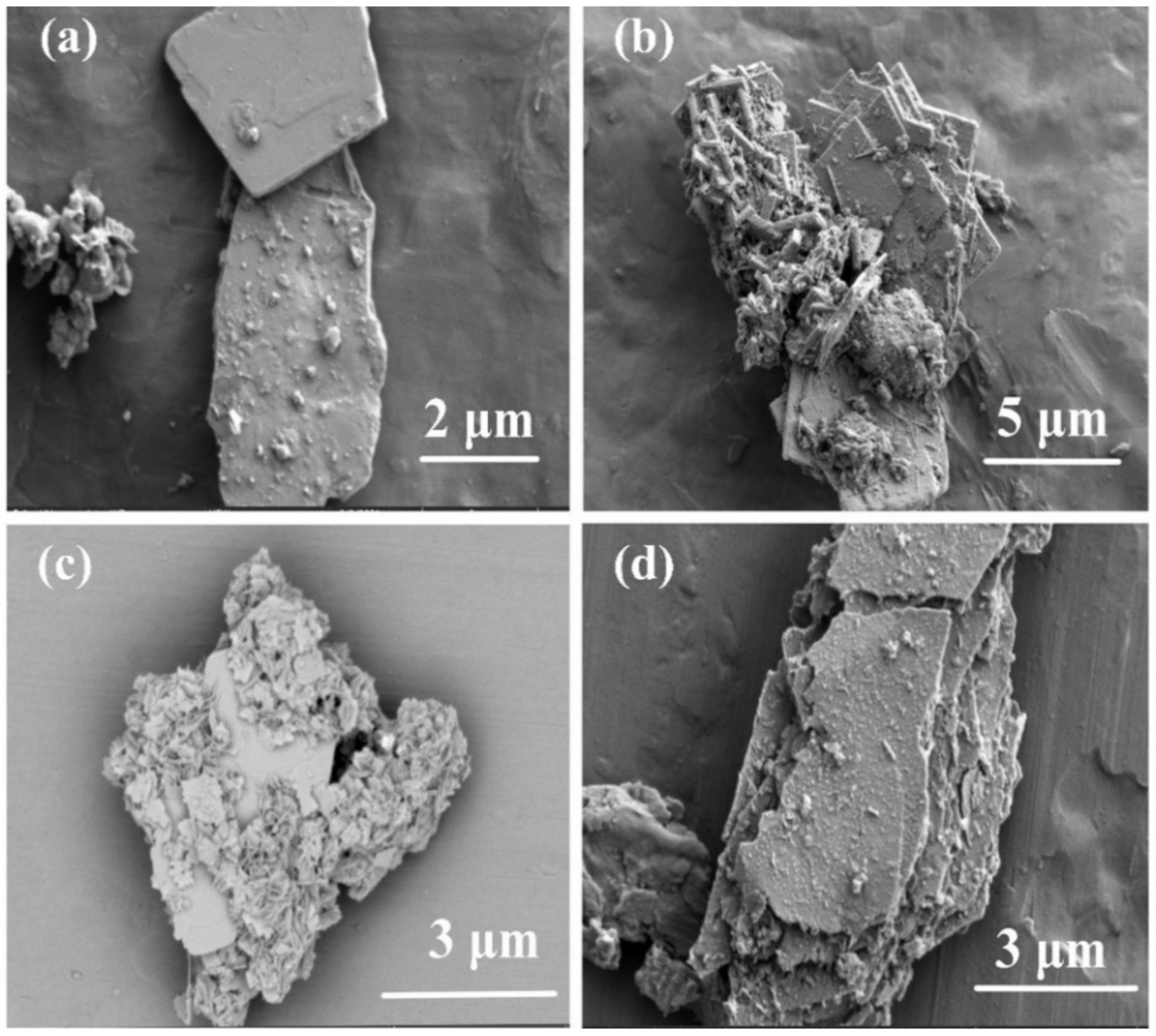 Catalysts 12 01455 g003