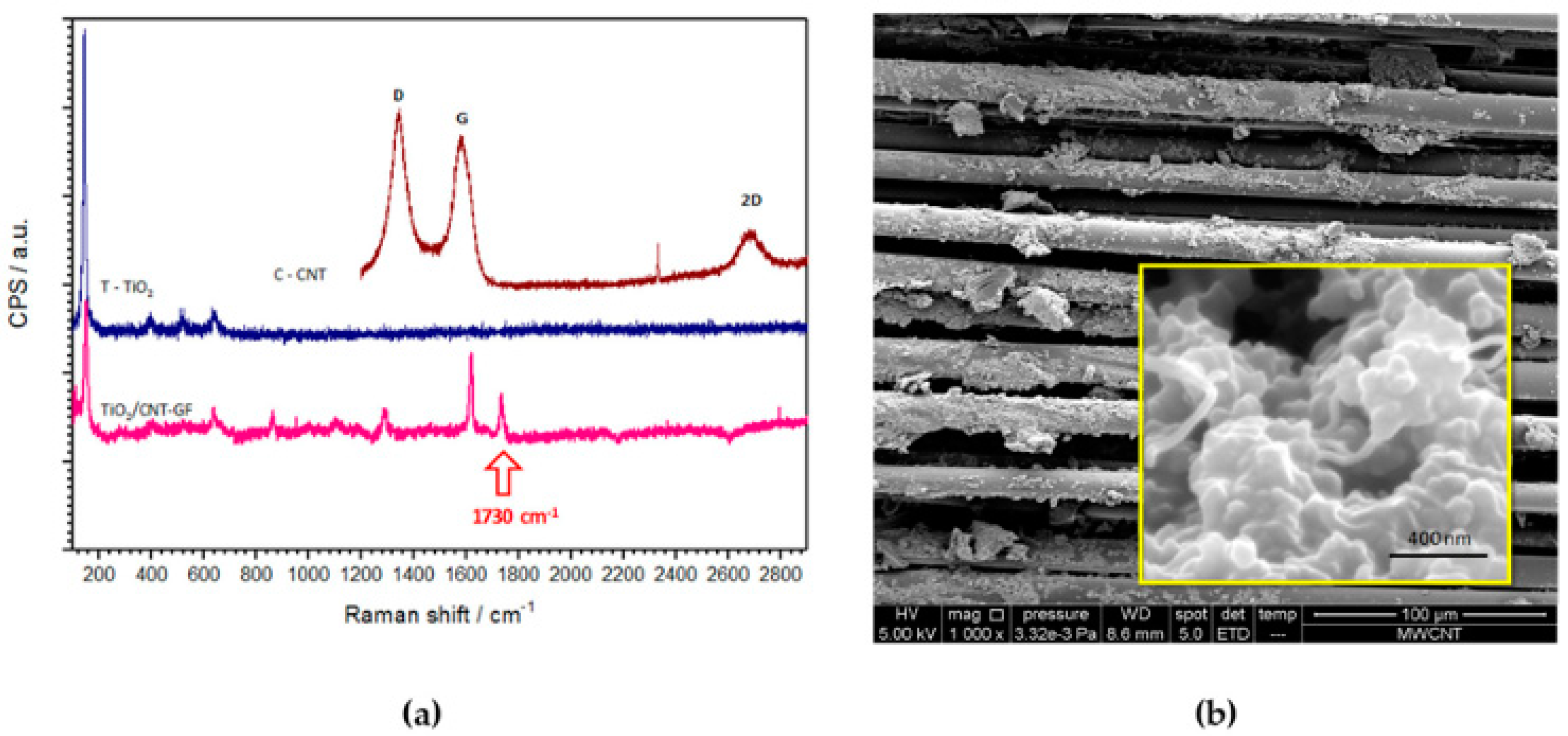 Catalysts 12 01463 g001