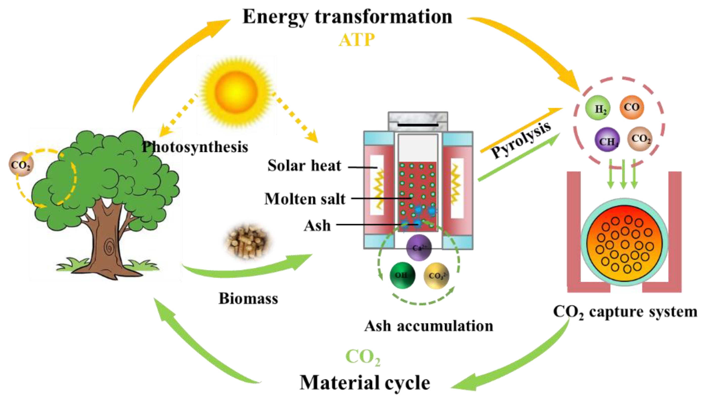 Catalysts 12 01465 g011 Catalysts 12 01465 g011