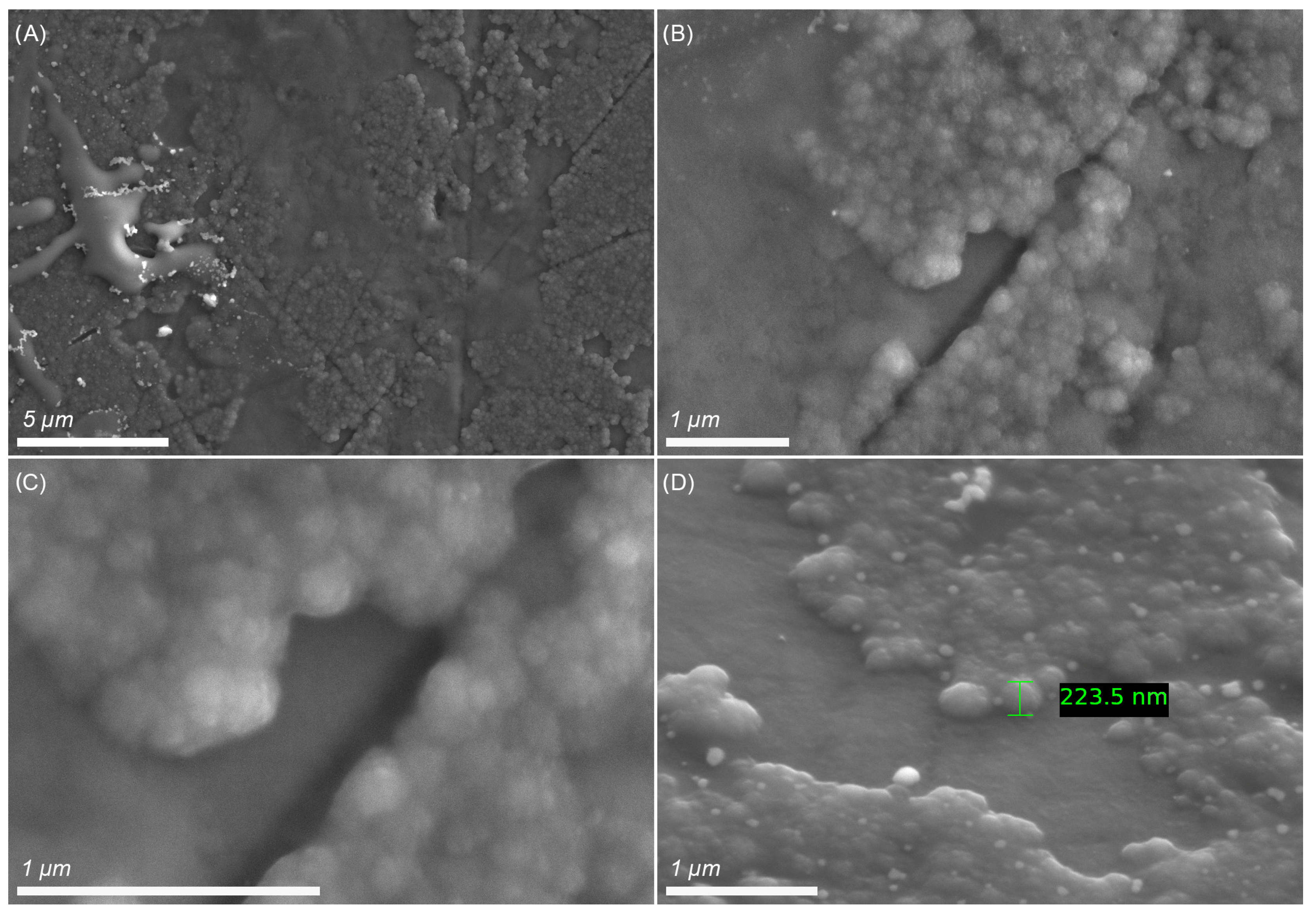 Catalysts 12 01466 g004 Catalysts 12 01466 g004