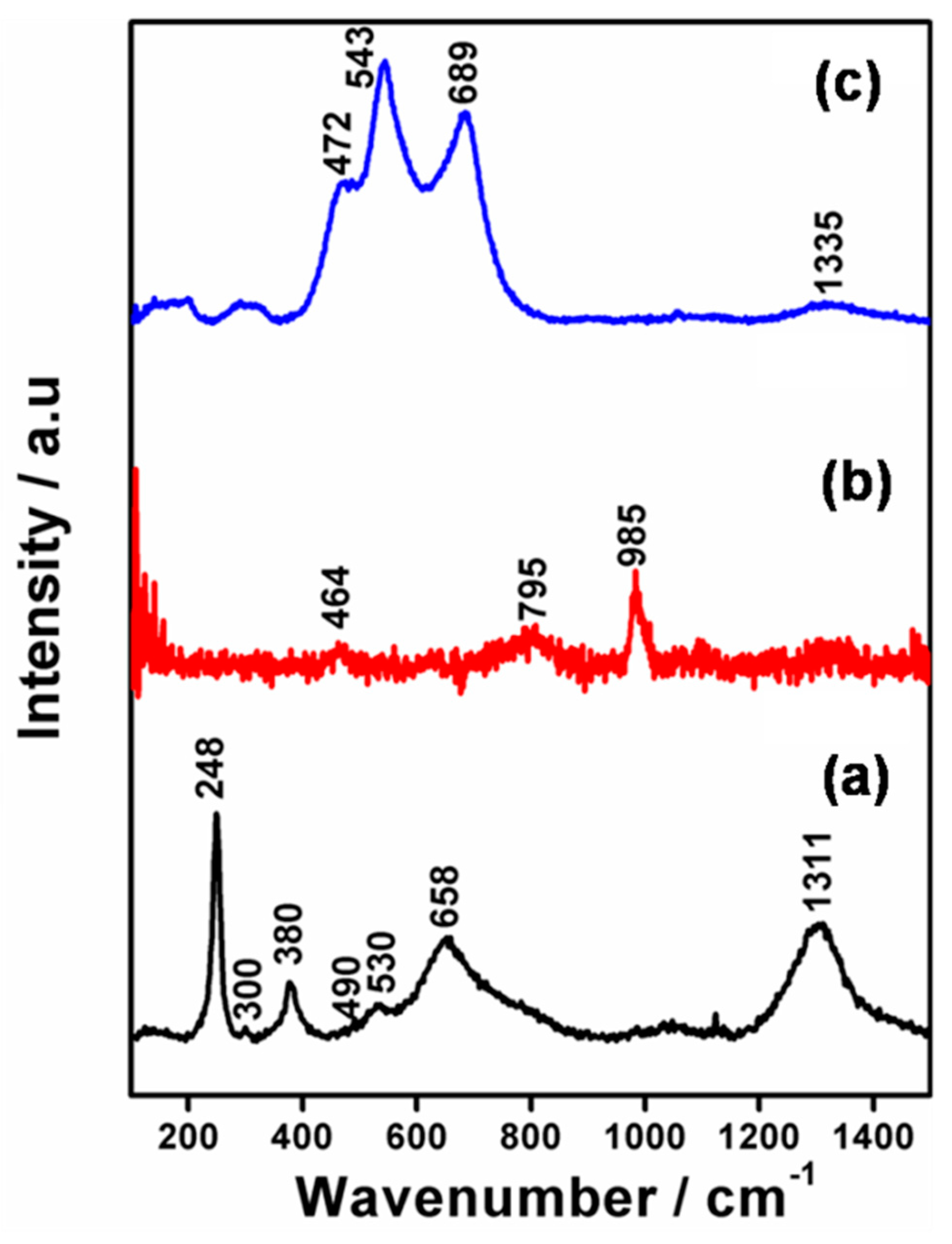Catalysts 12 01470 g002