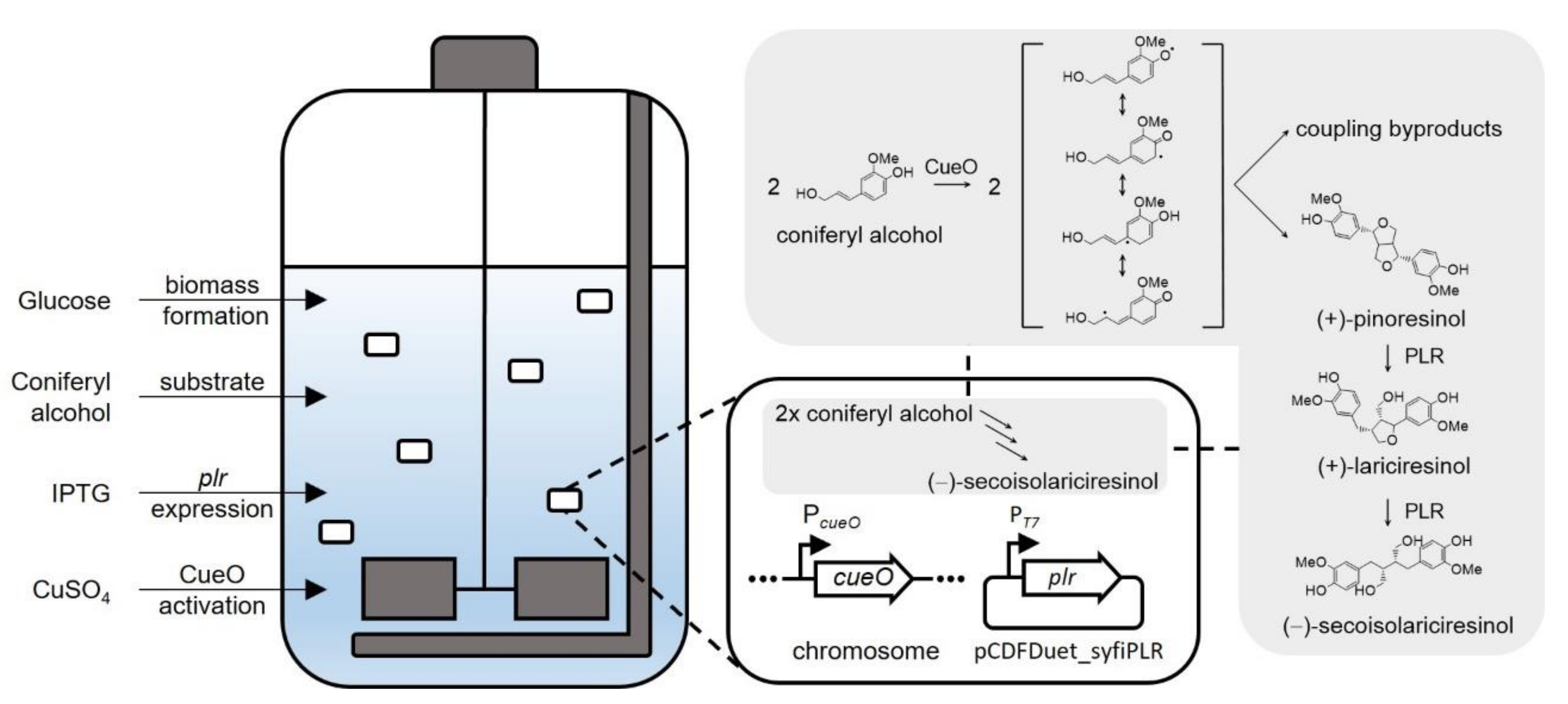 Catalysts 12 01473 g001