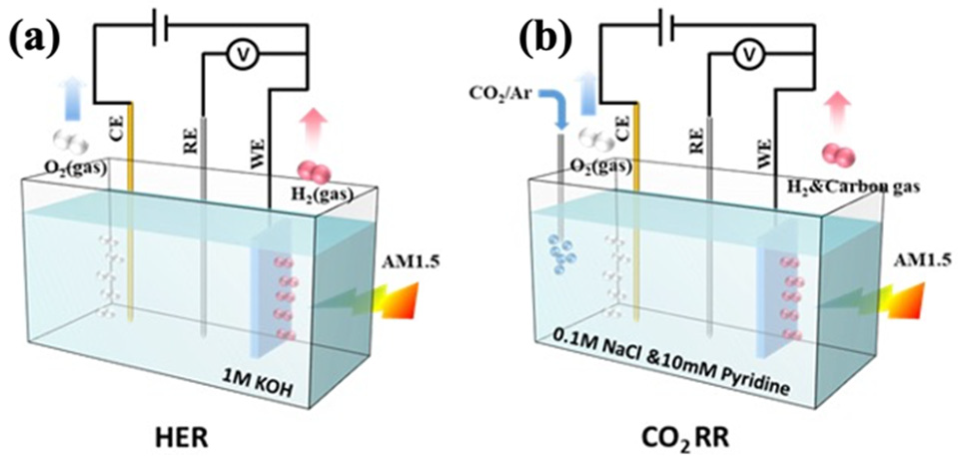 Catalysts 12 01482 g010