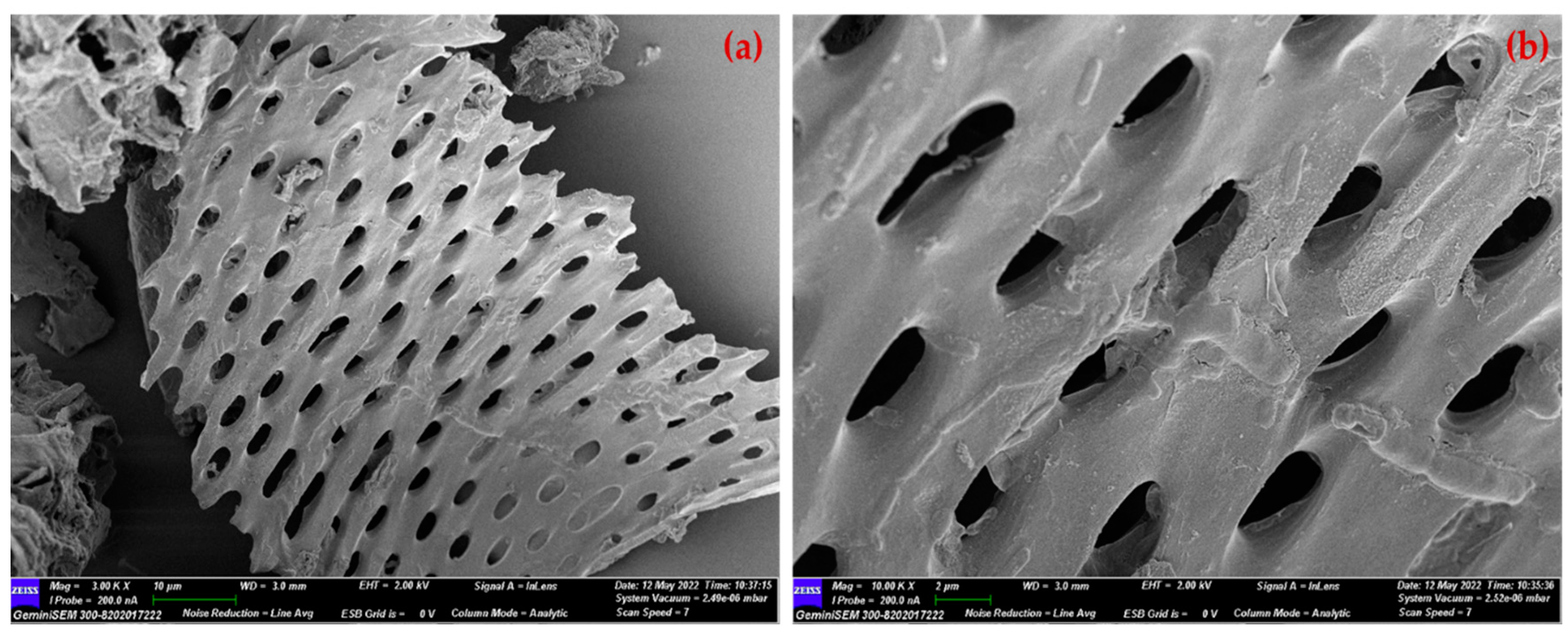 Catalysts 12 01495 g004